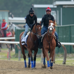 CBS Sports Belmont Stakes 2023 Expert Picks & Predictions