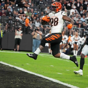 Bengals vs Steelers: Fantasy Deep Dive & Predictions, Week 11 - The  Worksheet