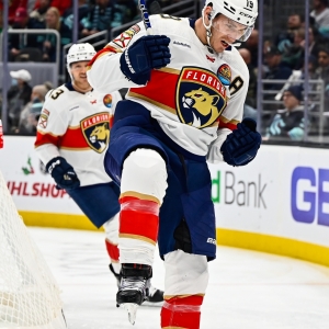 New York Rangers vs Florida Panthers Prediction, 12/29/2021 NHL Picks, Best  Bets & Odds