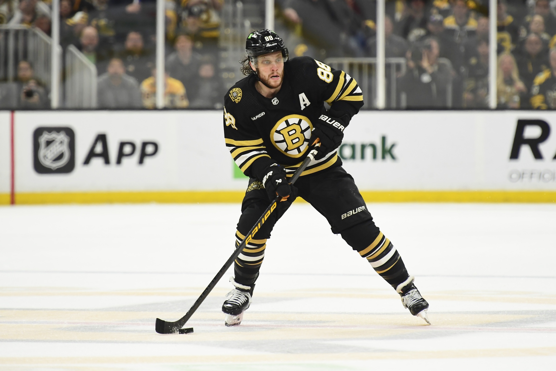 Boston Bruins predictions David Pastrnak 