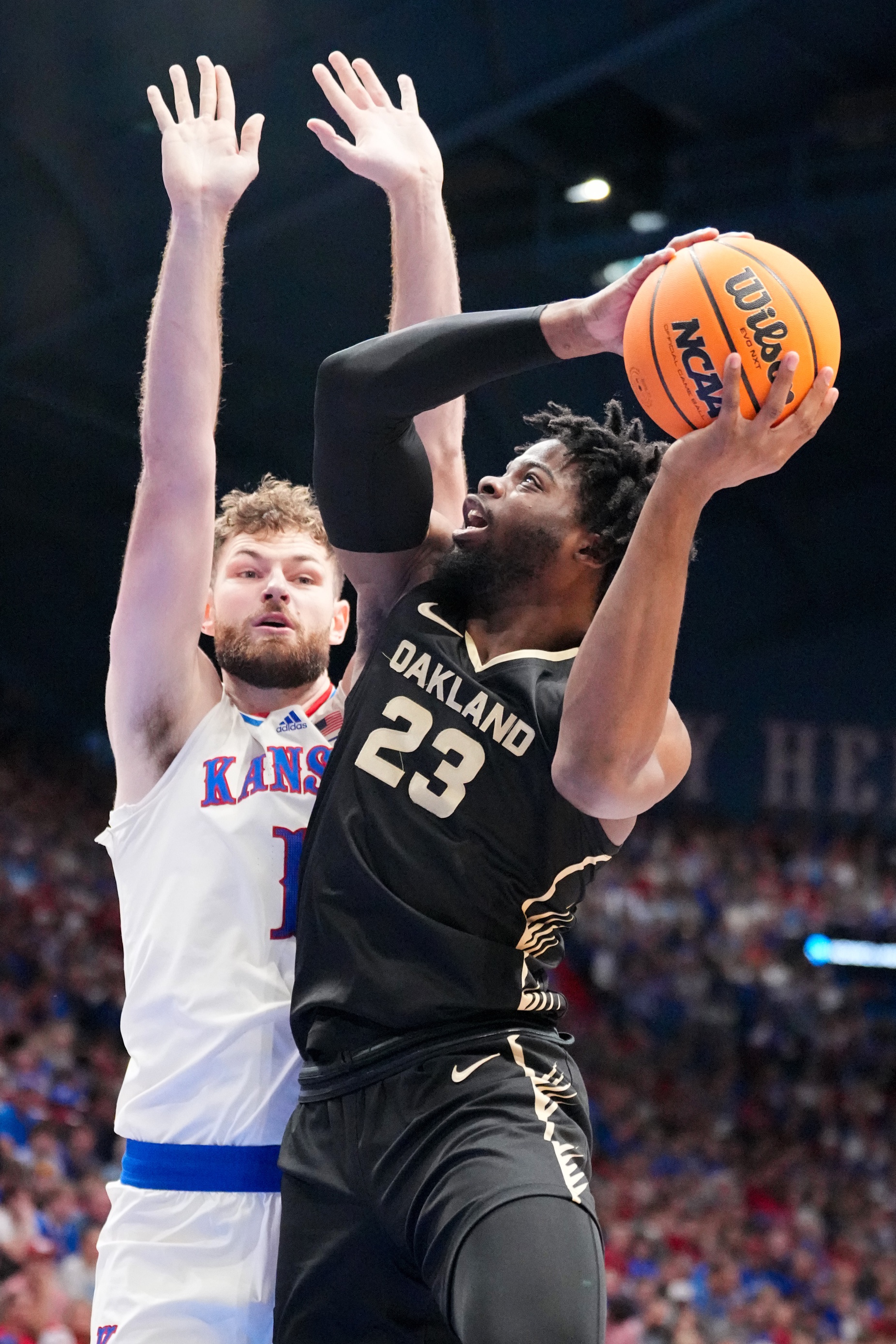 Loyola Ramblers vs Oakland Golden Grizzlies Prediction, 12/22/2024 College Basketball Picks, Best Bets & Odds