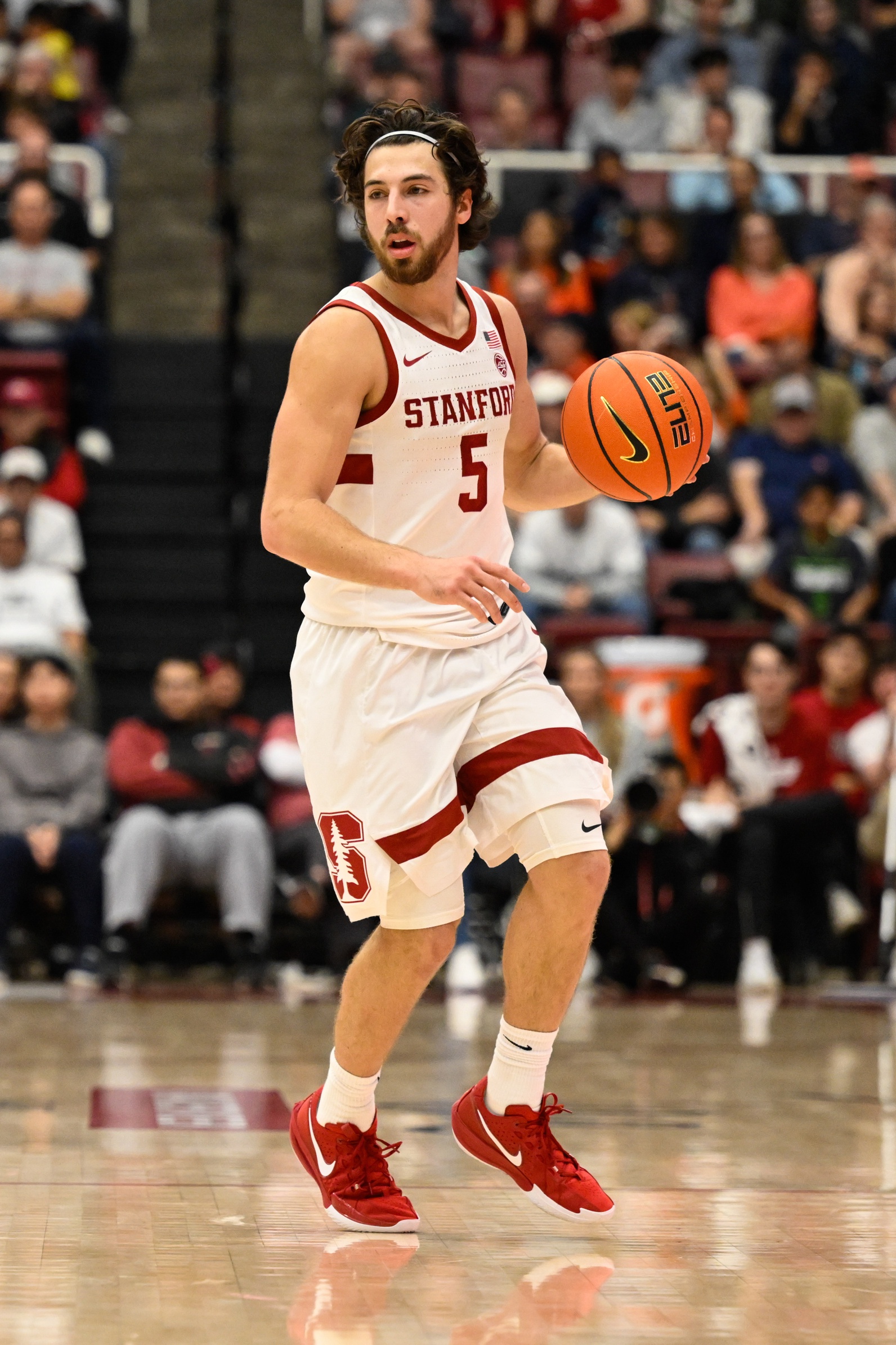 college basketball picks Benny Gealer Stanford Cardinal predictions best bet odds