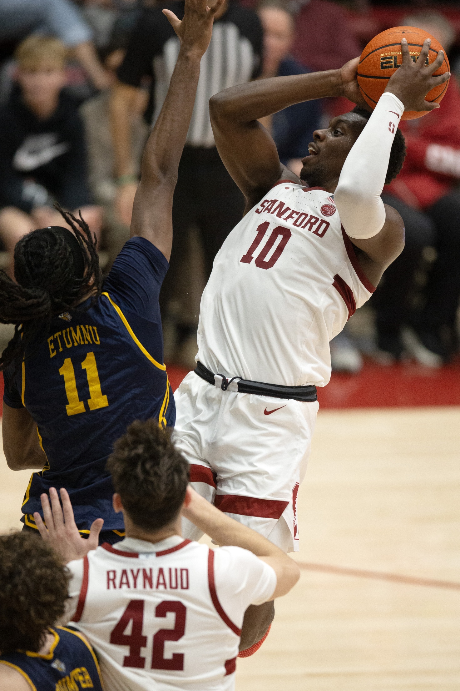 college basketball picks Chisom Okpara Stanford Cardinal predictions best bet odds