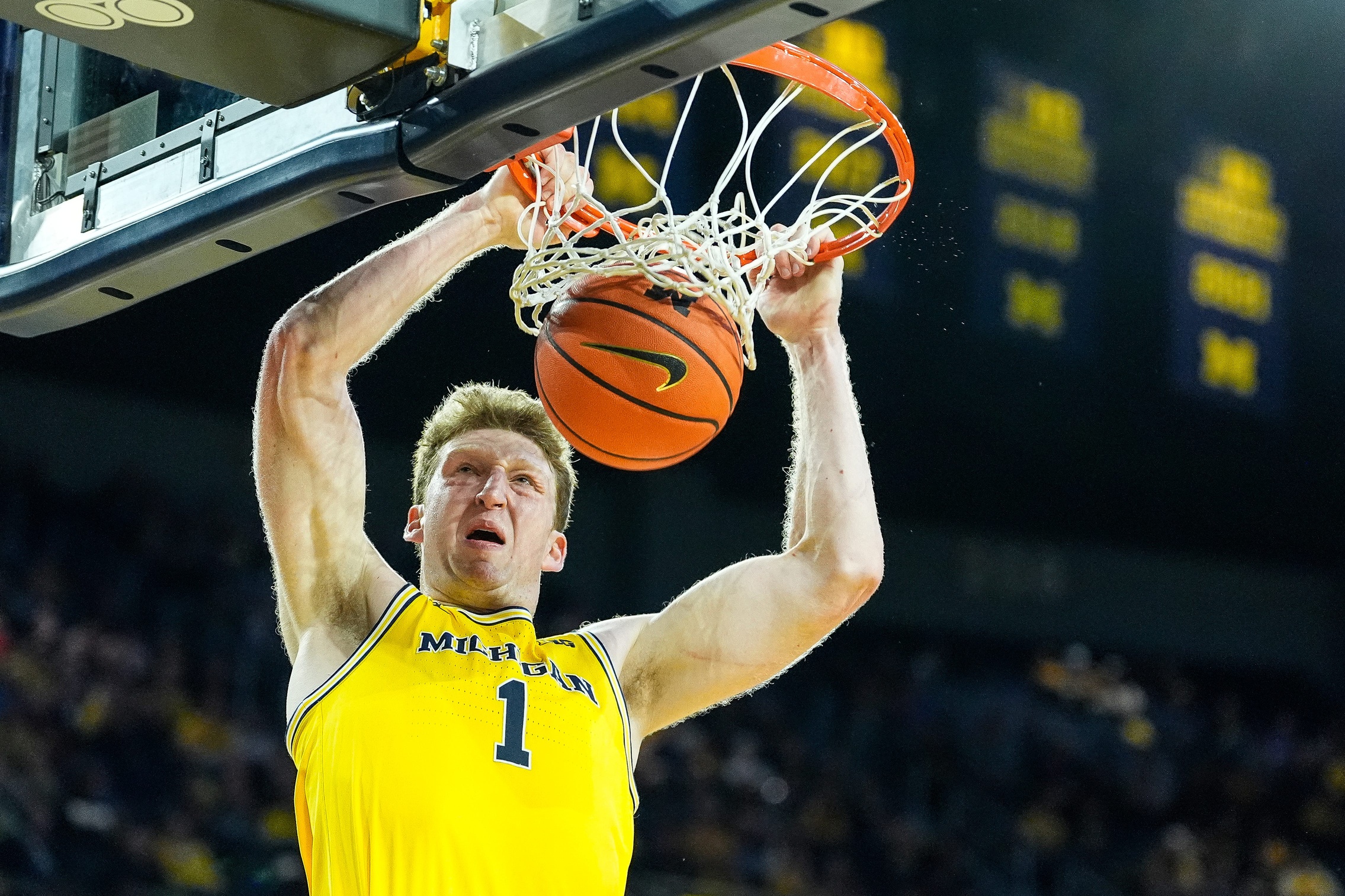 college basketball picks Danny Wolf Michigan Wolverines predictions best bet odds