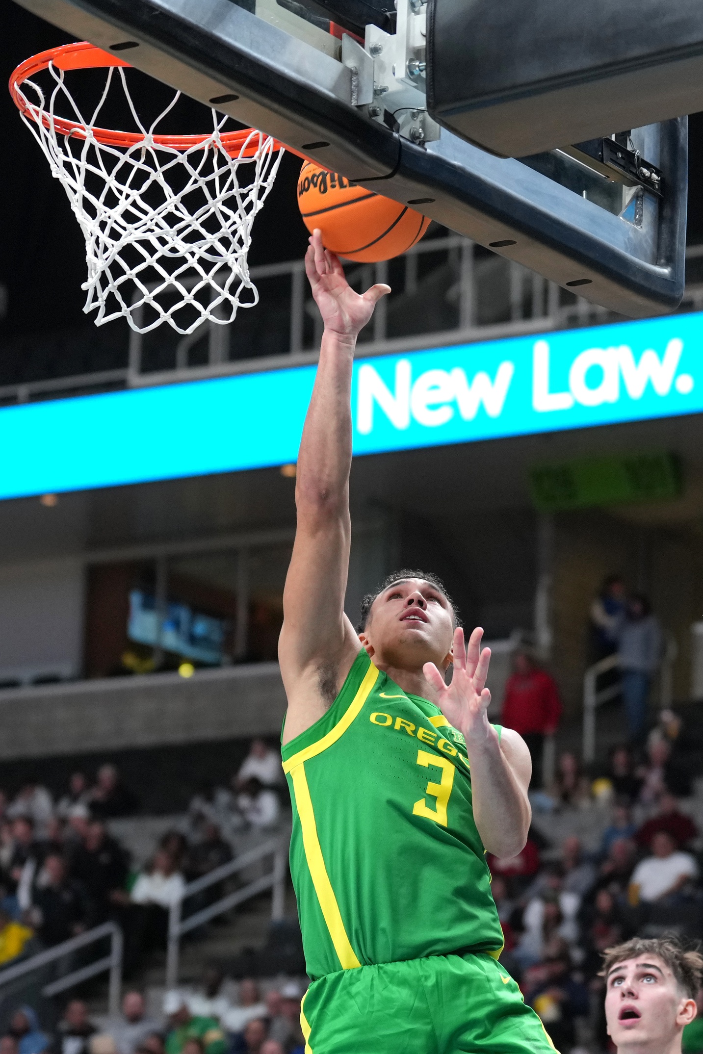 college basketball picks Jackson Shelstad Oregon Ducks predictions best bet odds