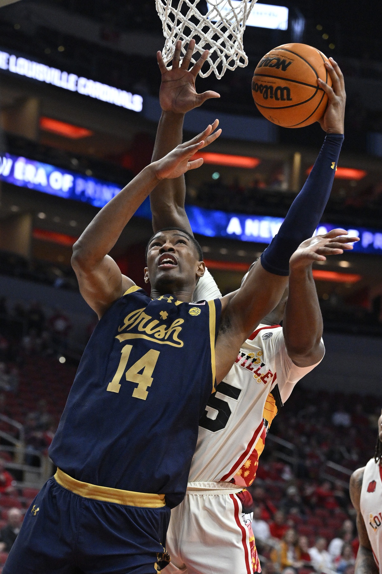 college basketball picks Kebba Njie Notre Dame Fighting Irish predictions best bet odds