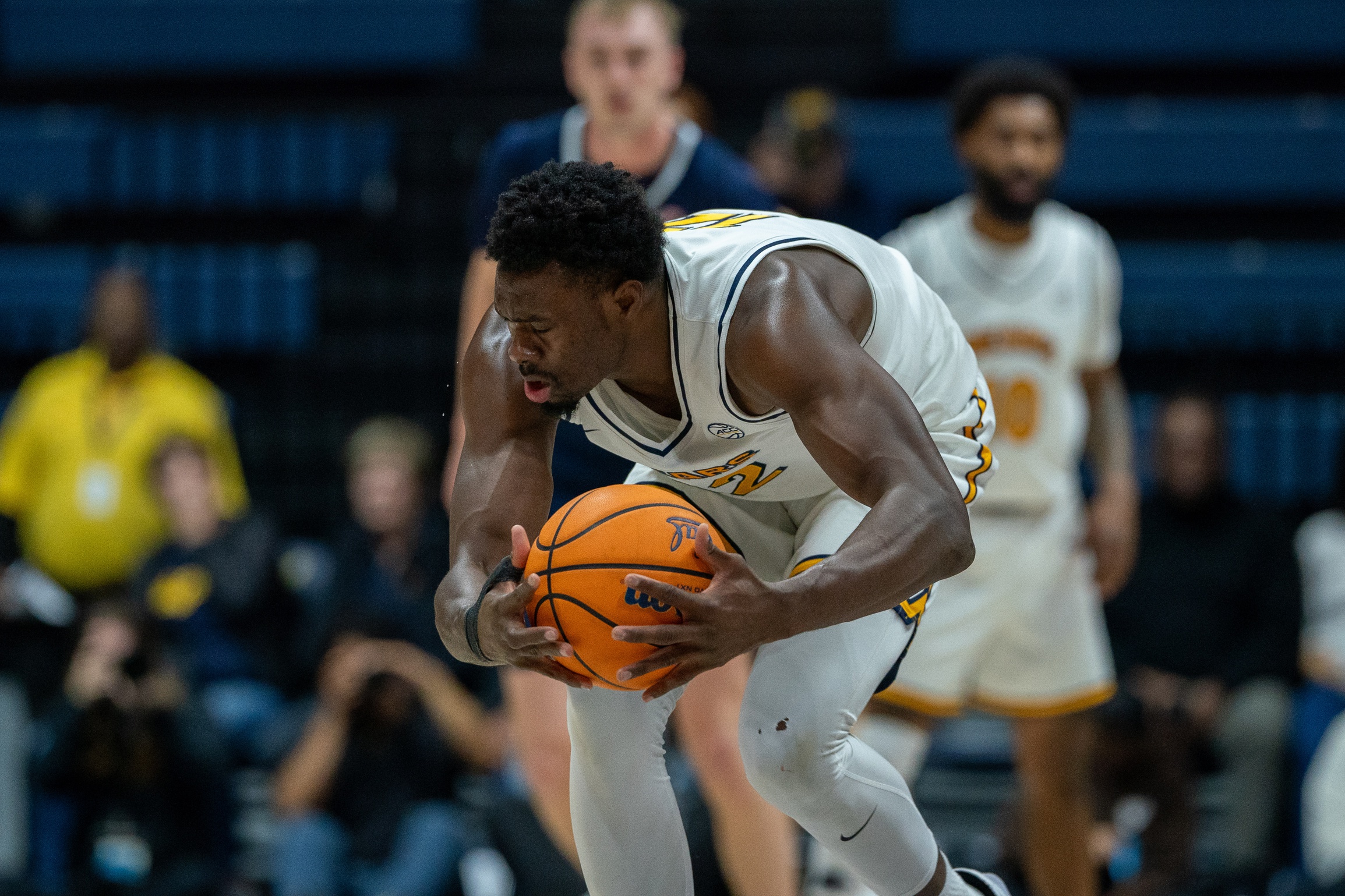 college basketball picks Mady Sissoko California Golden Bears predictions best bet odds