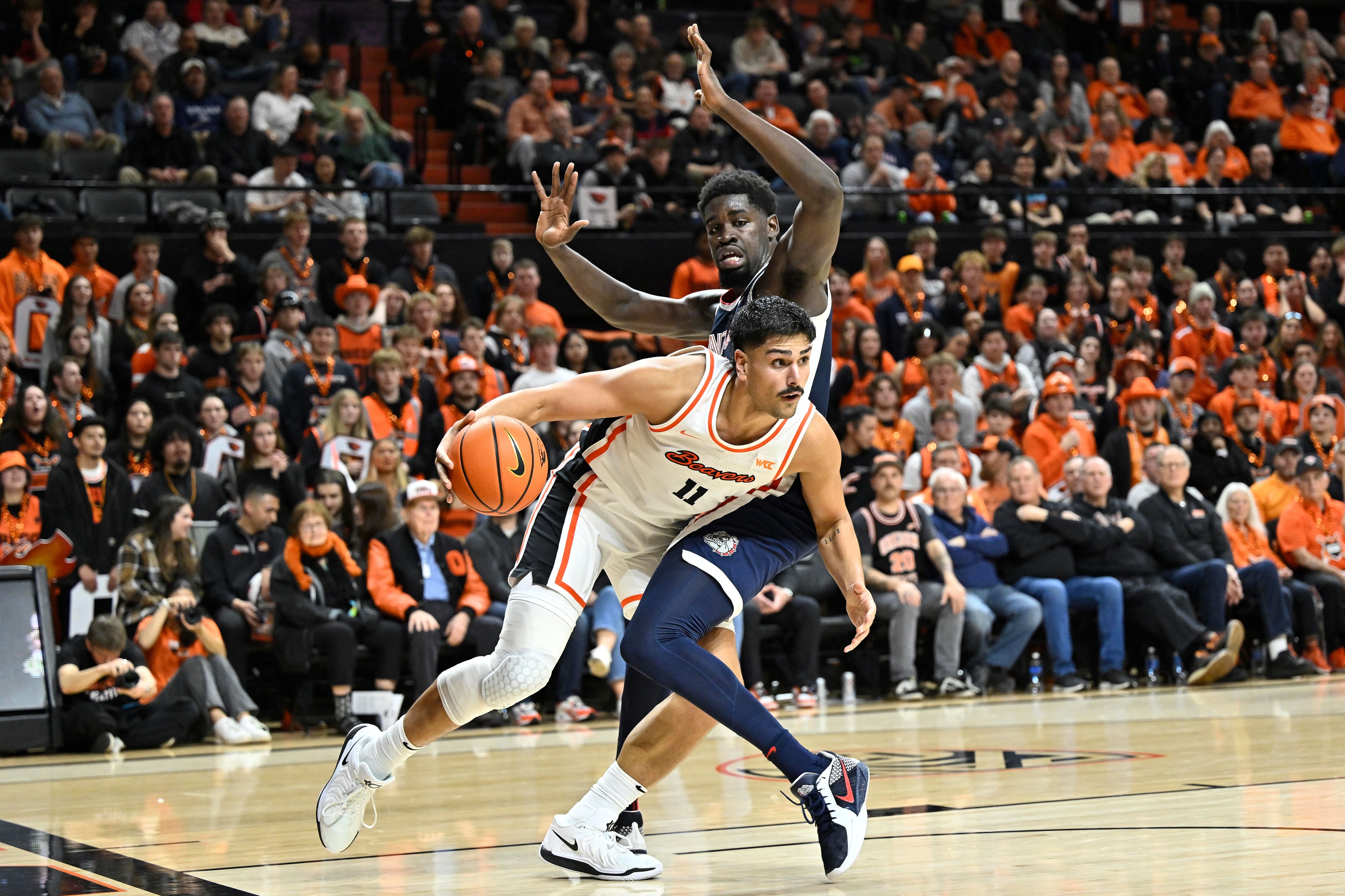 college basketball picks Parsa Fallah Oregon State Beavers predictions best bet odds