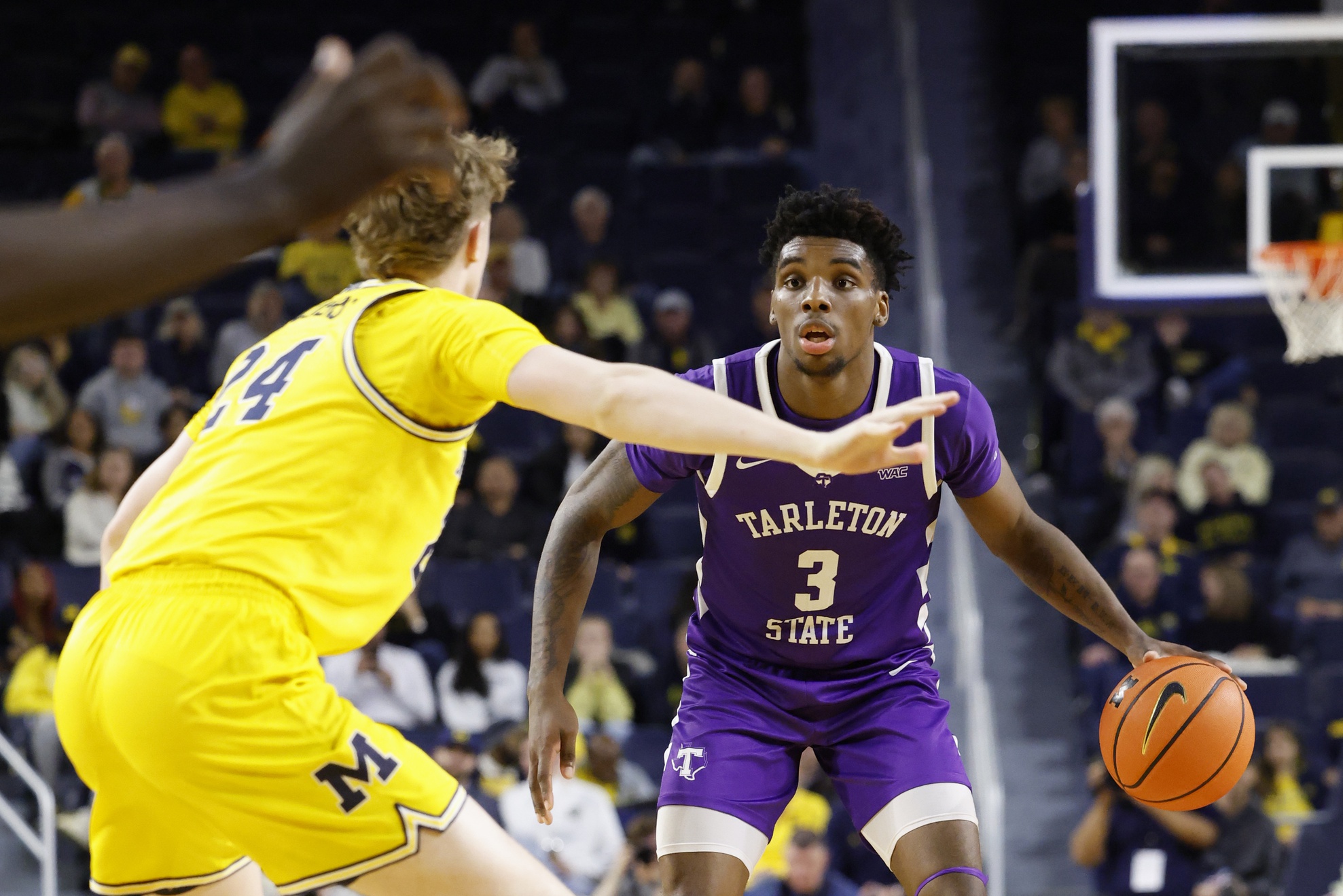 college basketball picks Ronnie Harrison Jr. Tarleton State predictions best bet odds