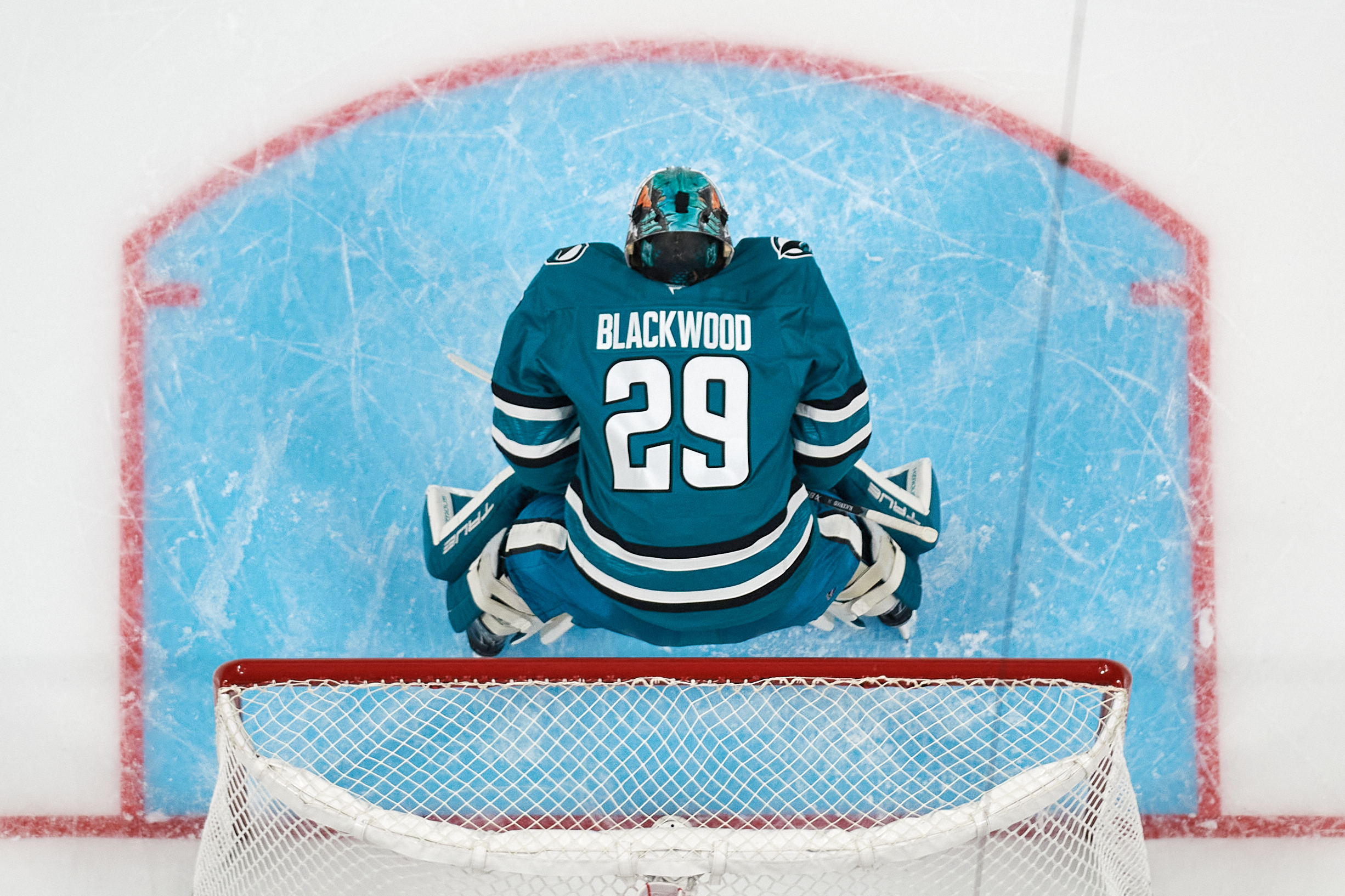 Expert NHL handicapping roundup Mackenzie Blackwood San Jose Sharks