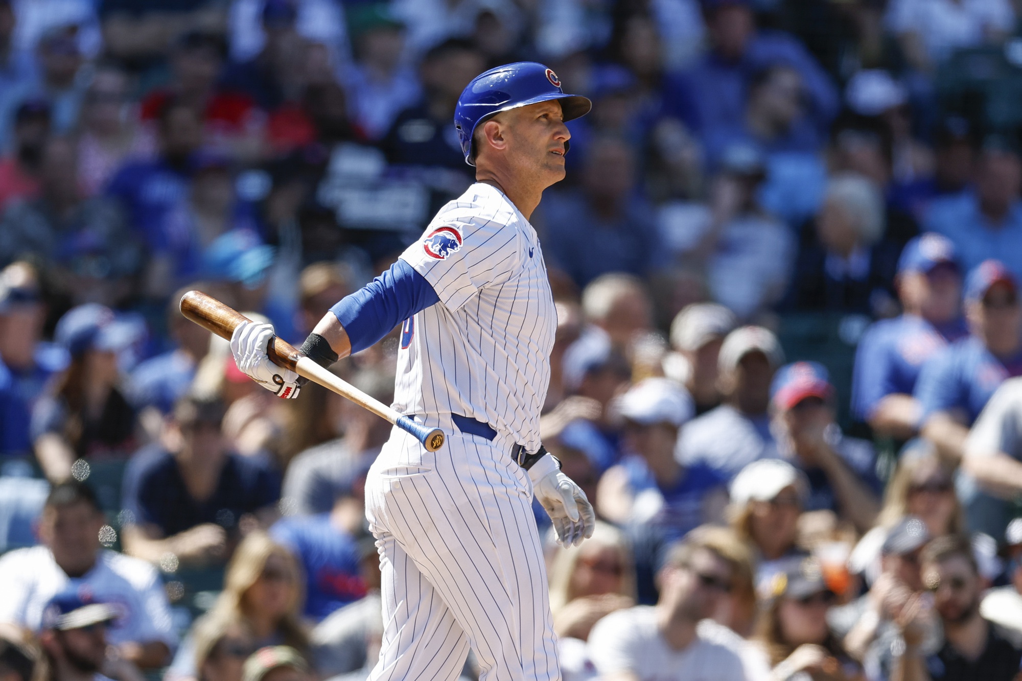 mlb picks Yan Gomes Chicago Cubs predictions best bet odds