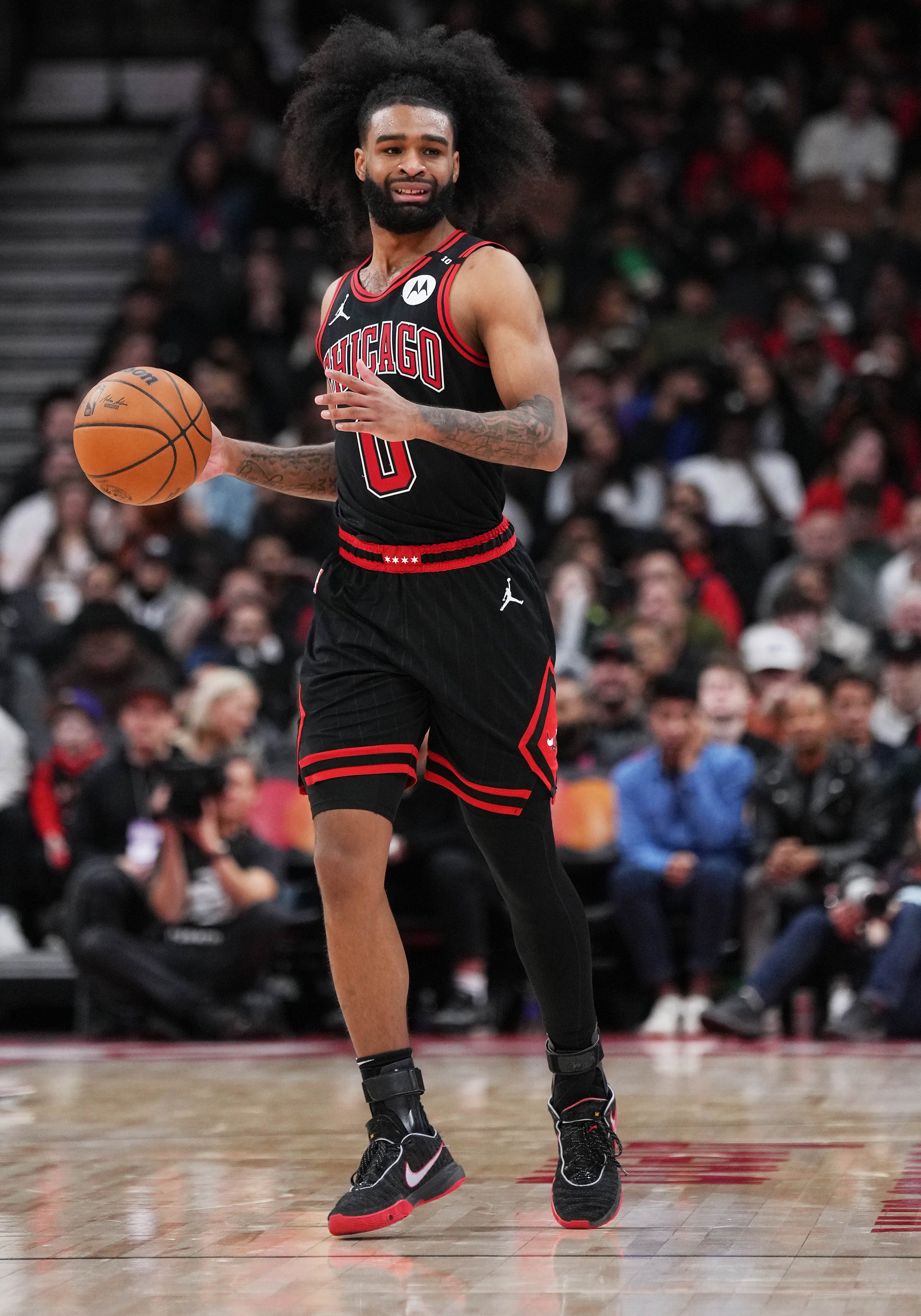 nba picks Coby White Chicago Bulls predictions best bet odds