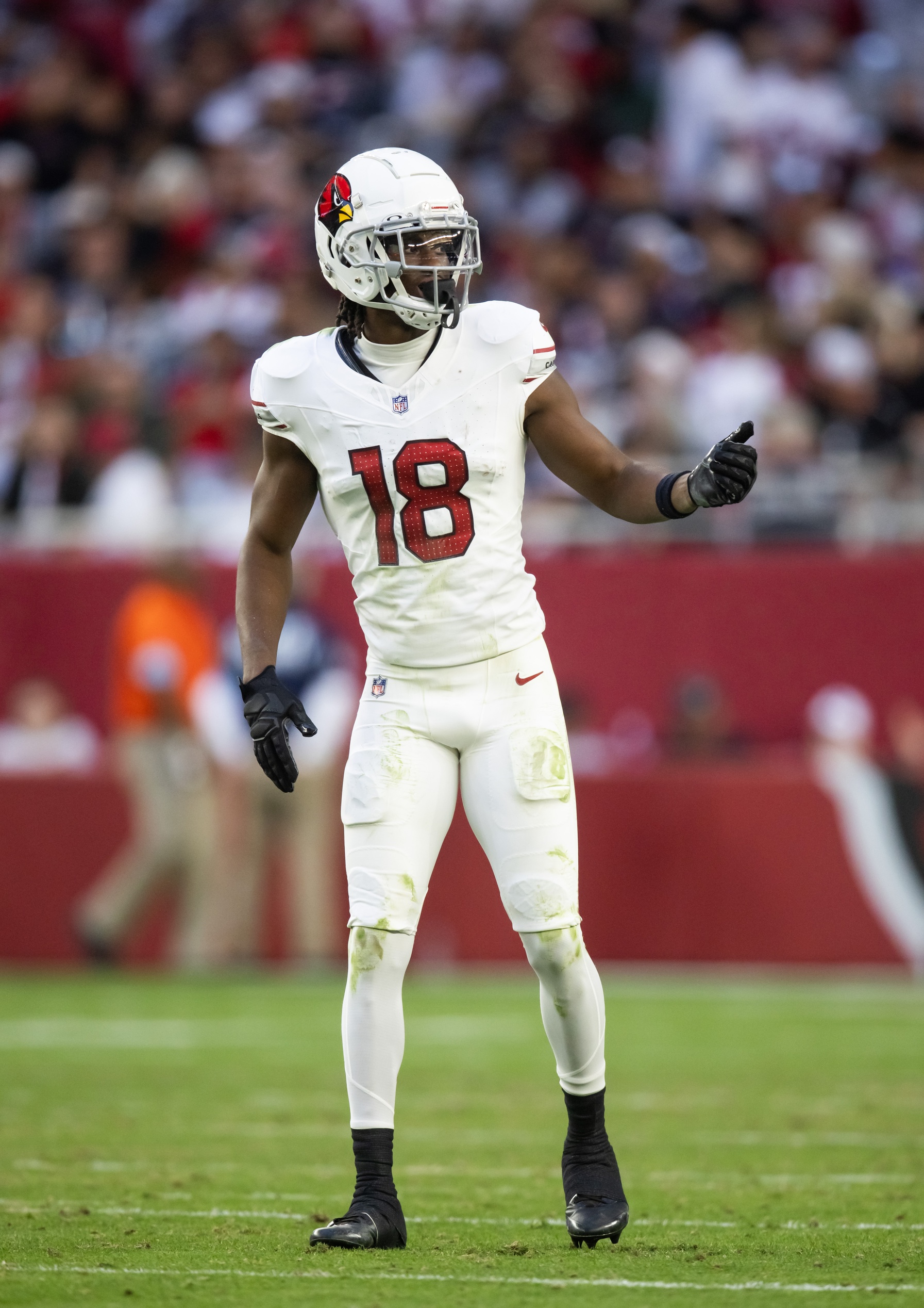 nfl picks Marvin Harrison Arizona Cardinals predictions best bet odds