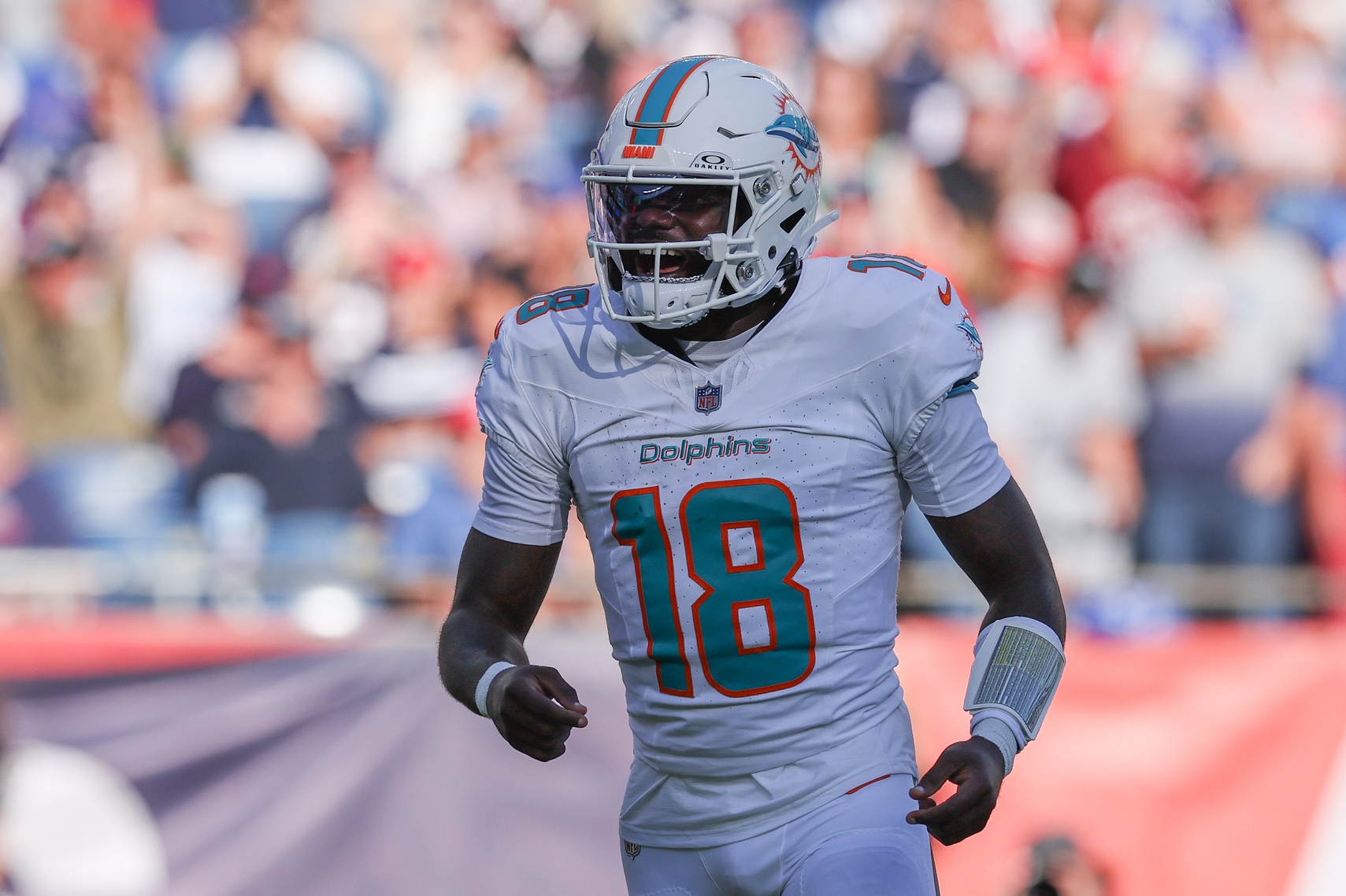 nfl picks Tyler Huntley Miami Dolphins predictions best bet odds