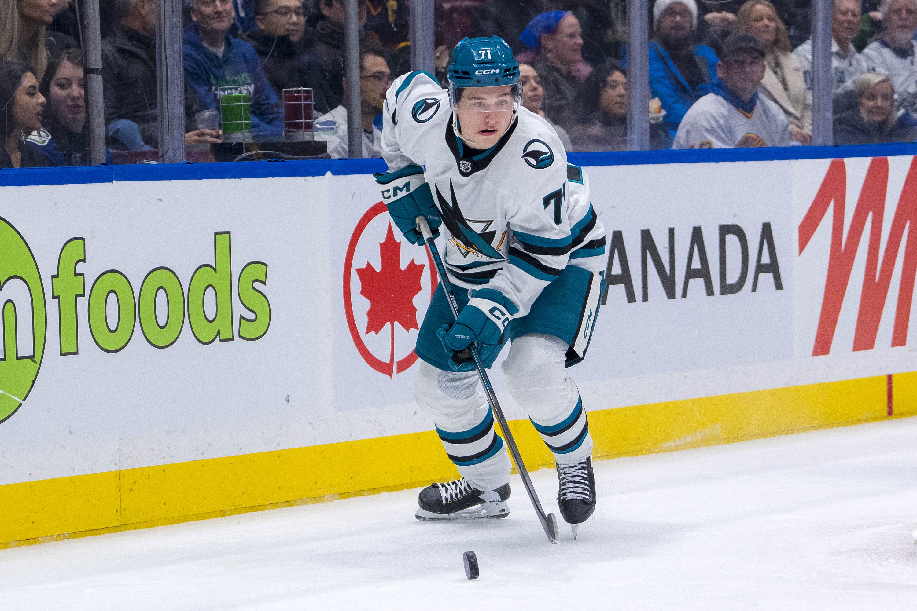 NHL hot and cold betting teams moneyline and ATS Macklin Celebrini San Jose Sharks