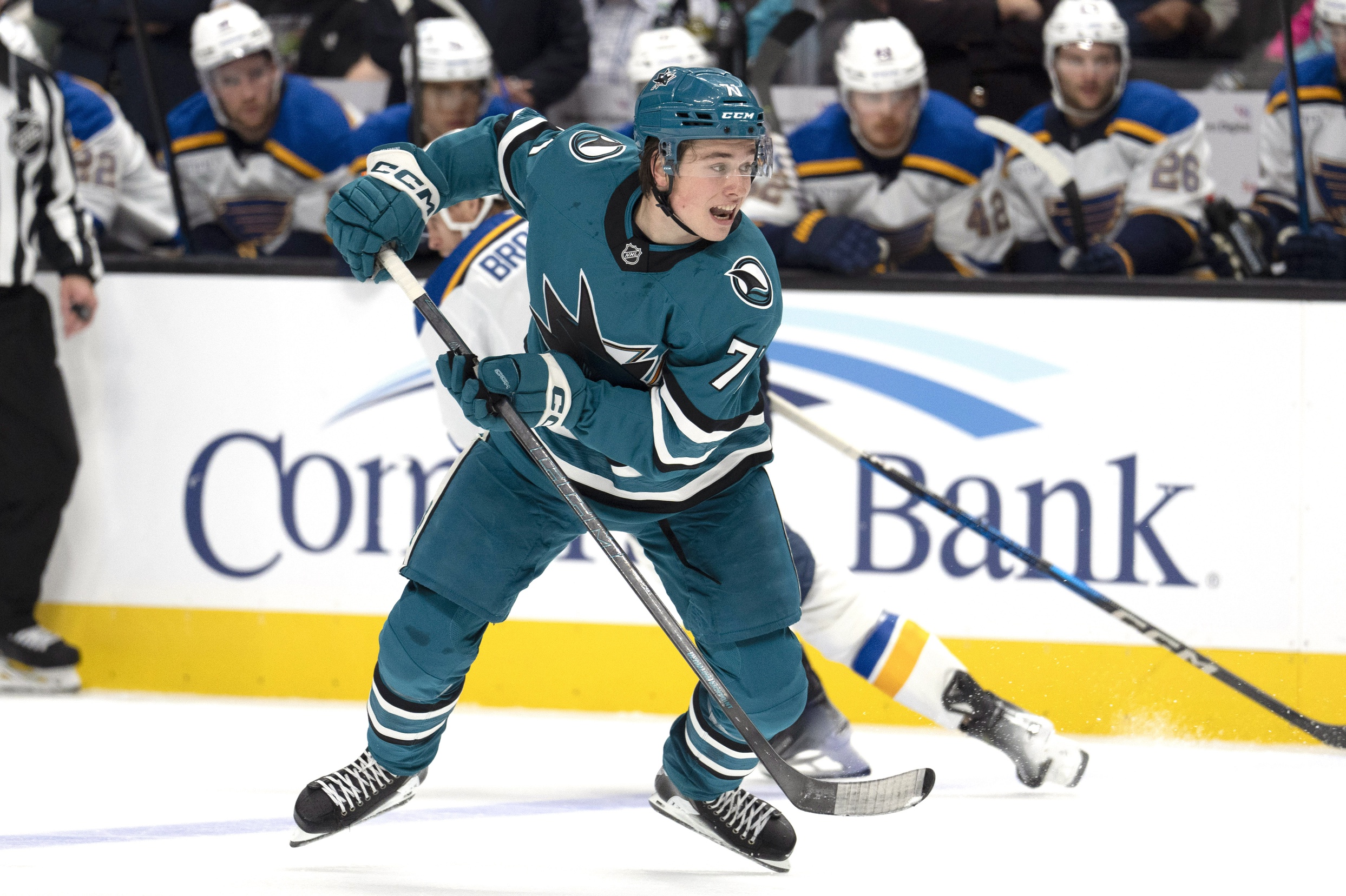 nhl picks Macklin Celebrini San Jose Sharks nhl picks