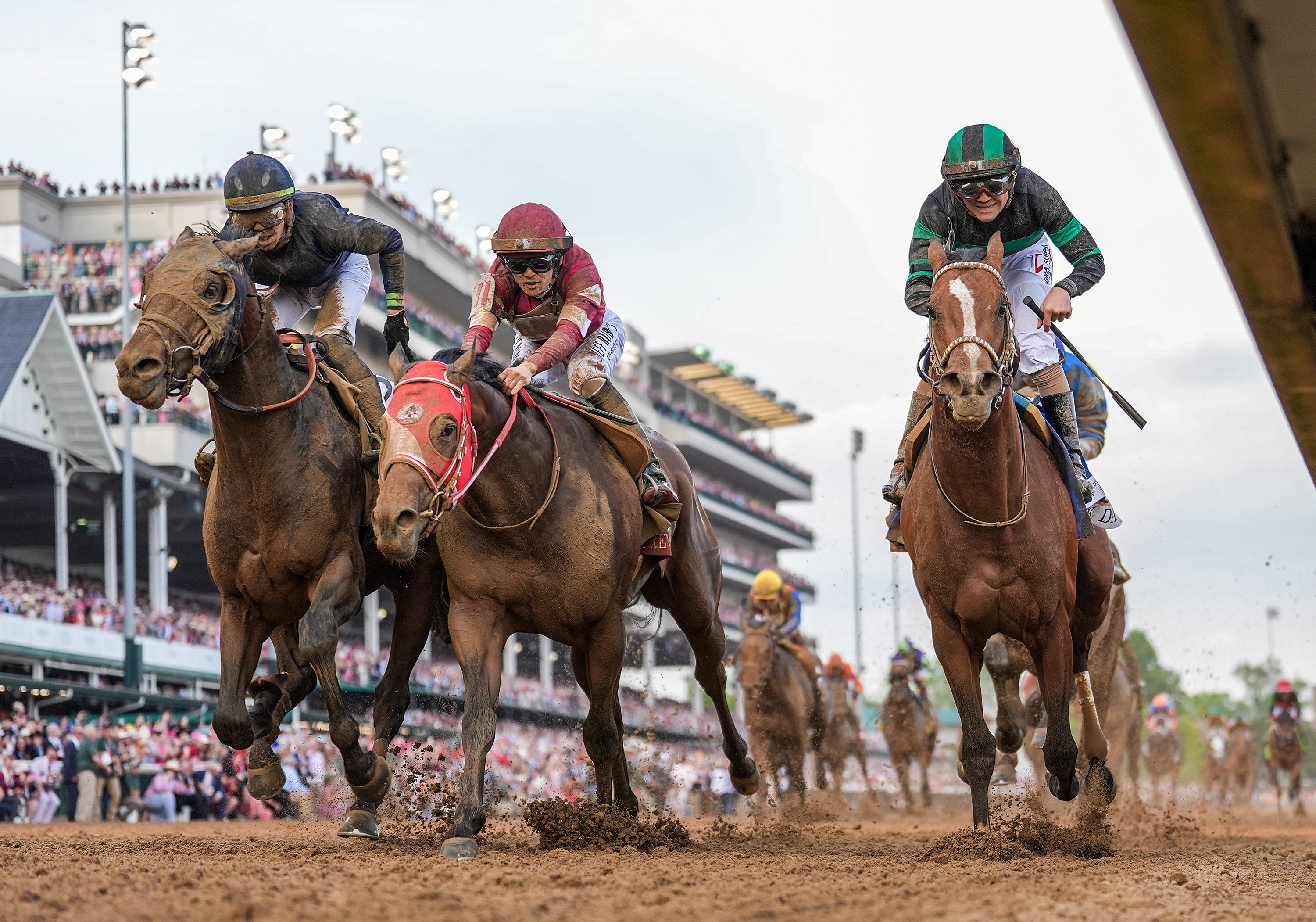 Preakness Stakes betting trends