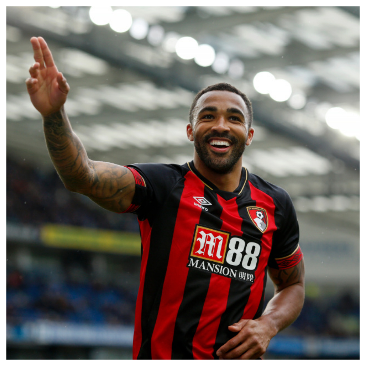 Bournemouth vs Newcastle United Prediction, 2/11/2023 EPL Soccer Pick, Tips and Odds