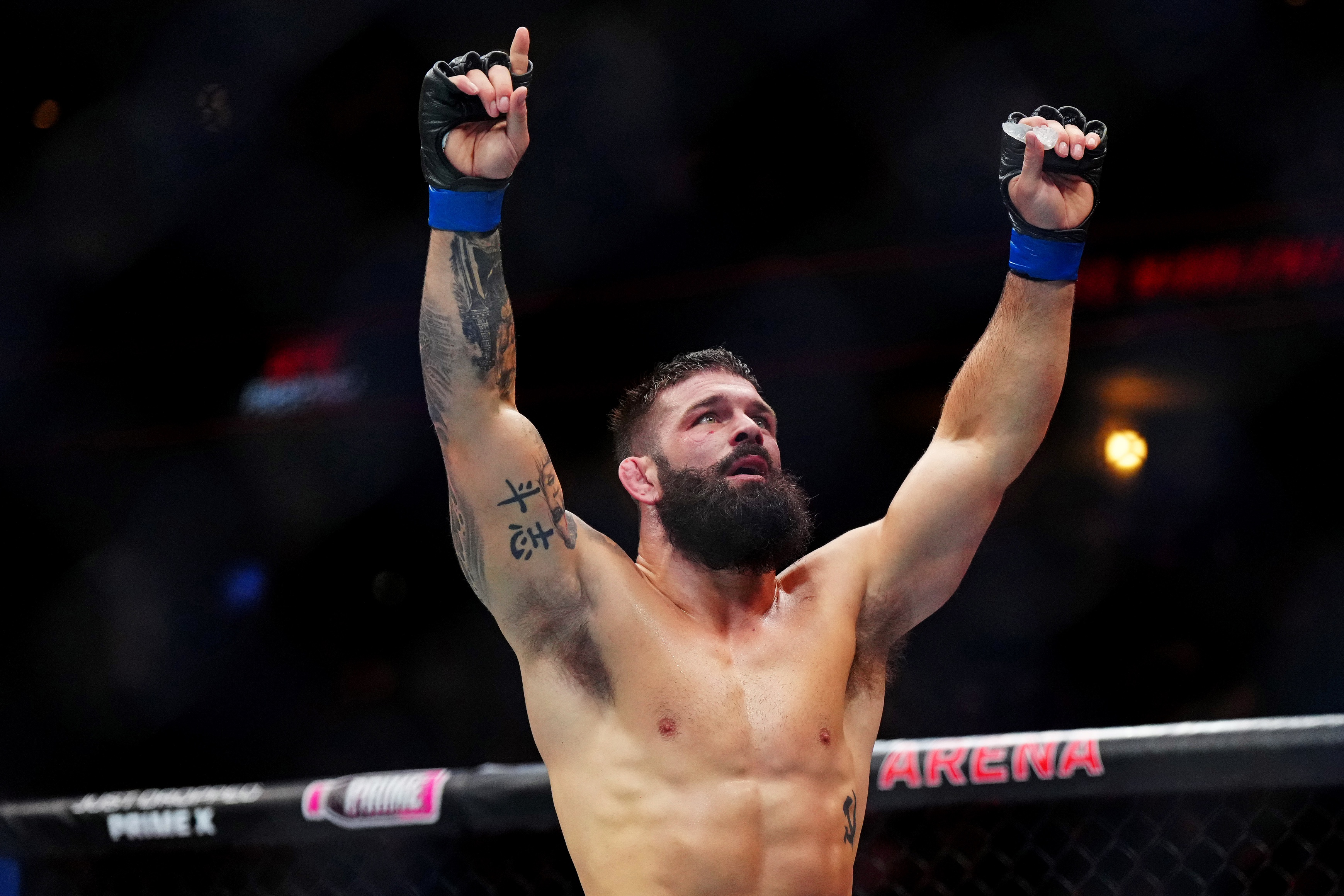 ufc picks Andre Petroski ufc predictions best bet odds