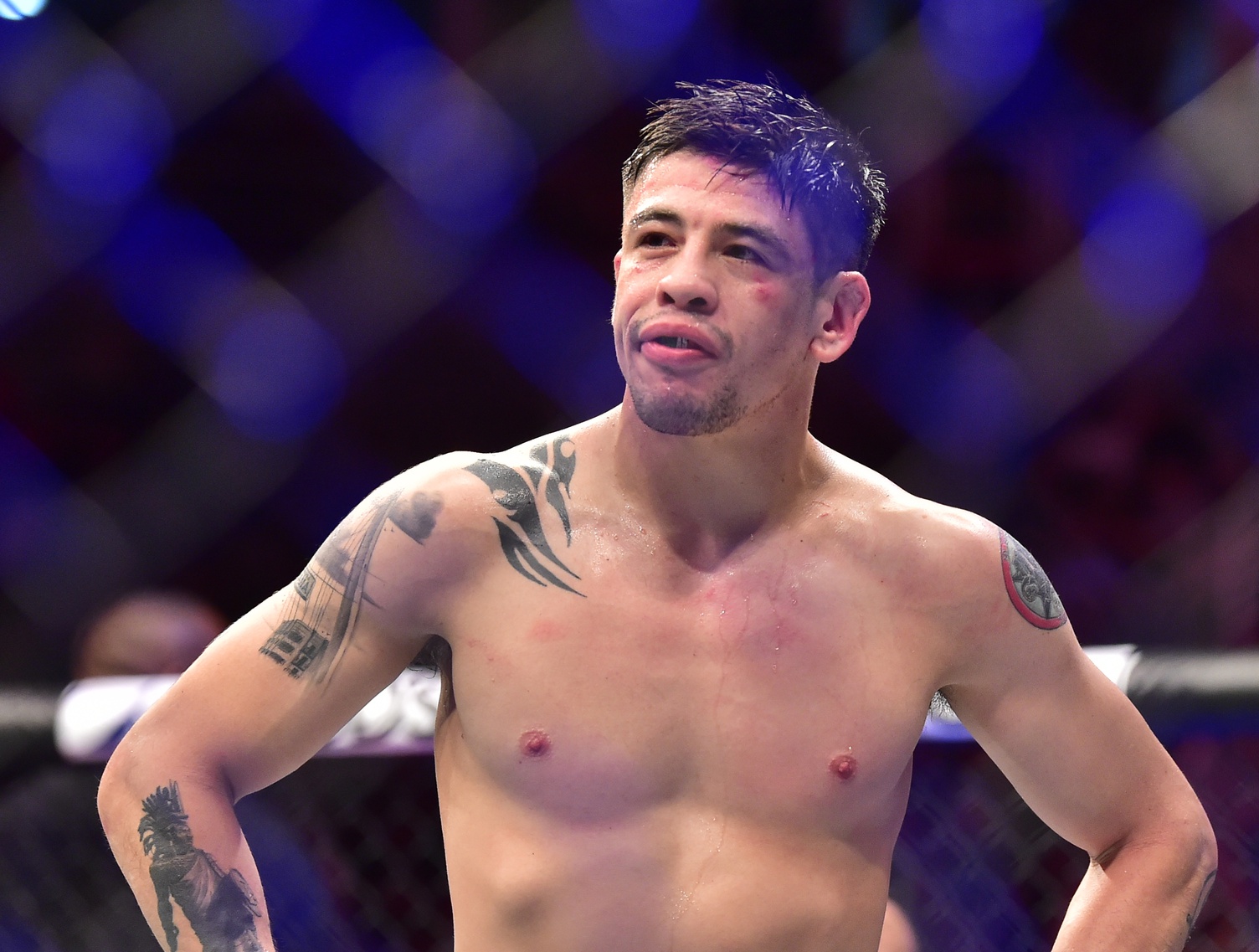 ufc picks Brandon Moreno ufc predictions best bet odds