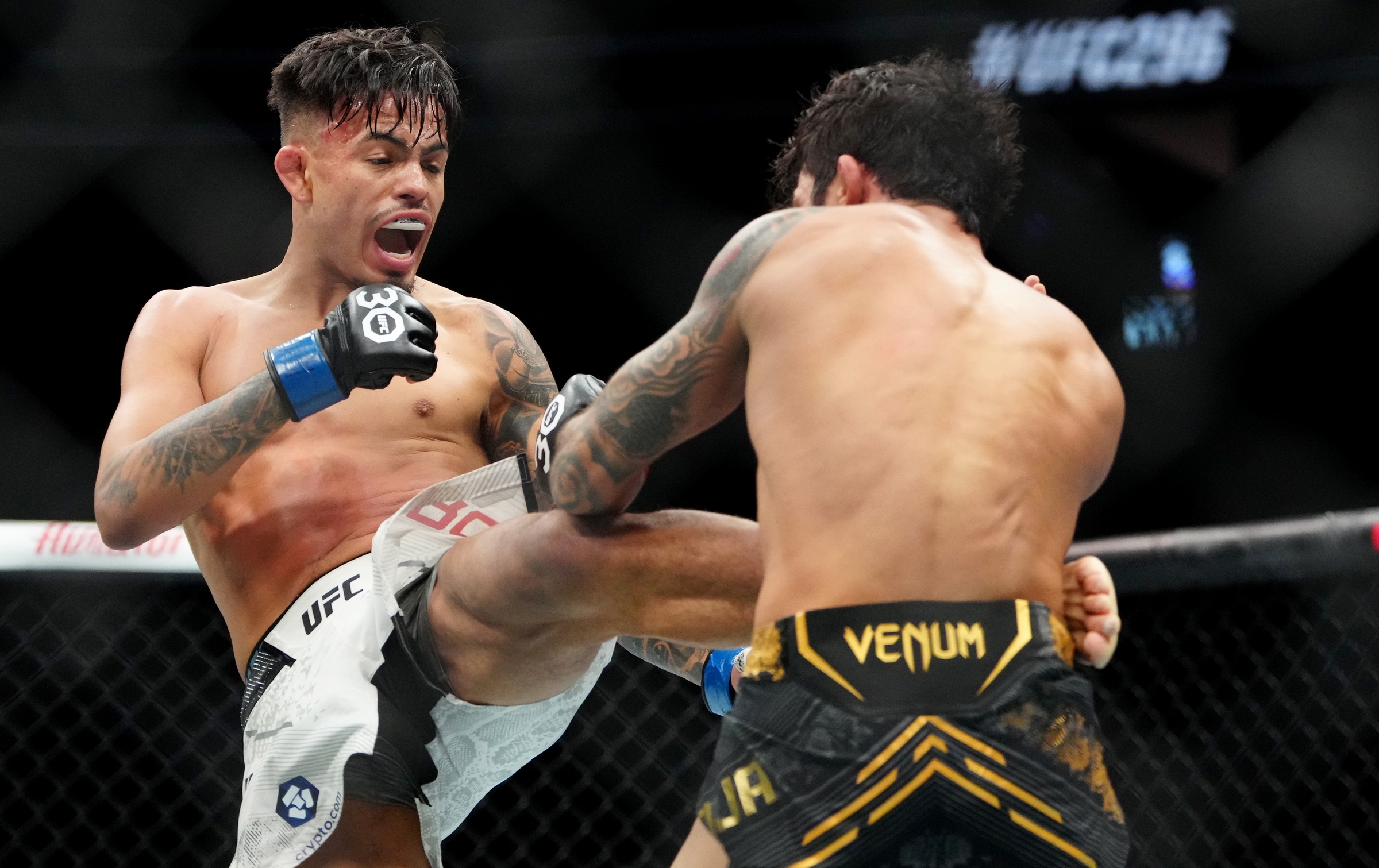 ufc picks Brandon Royval ufc predictions best bet odds