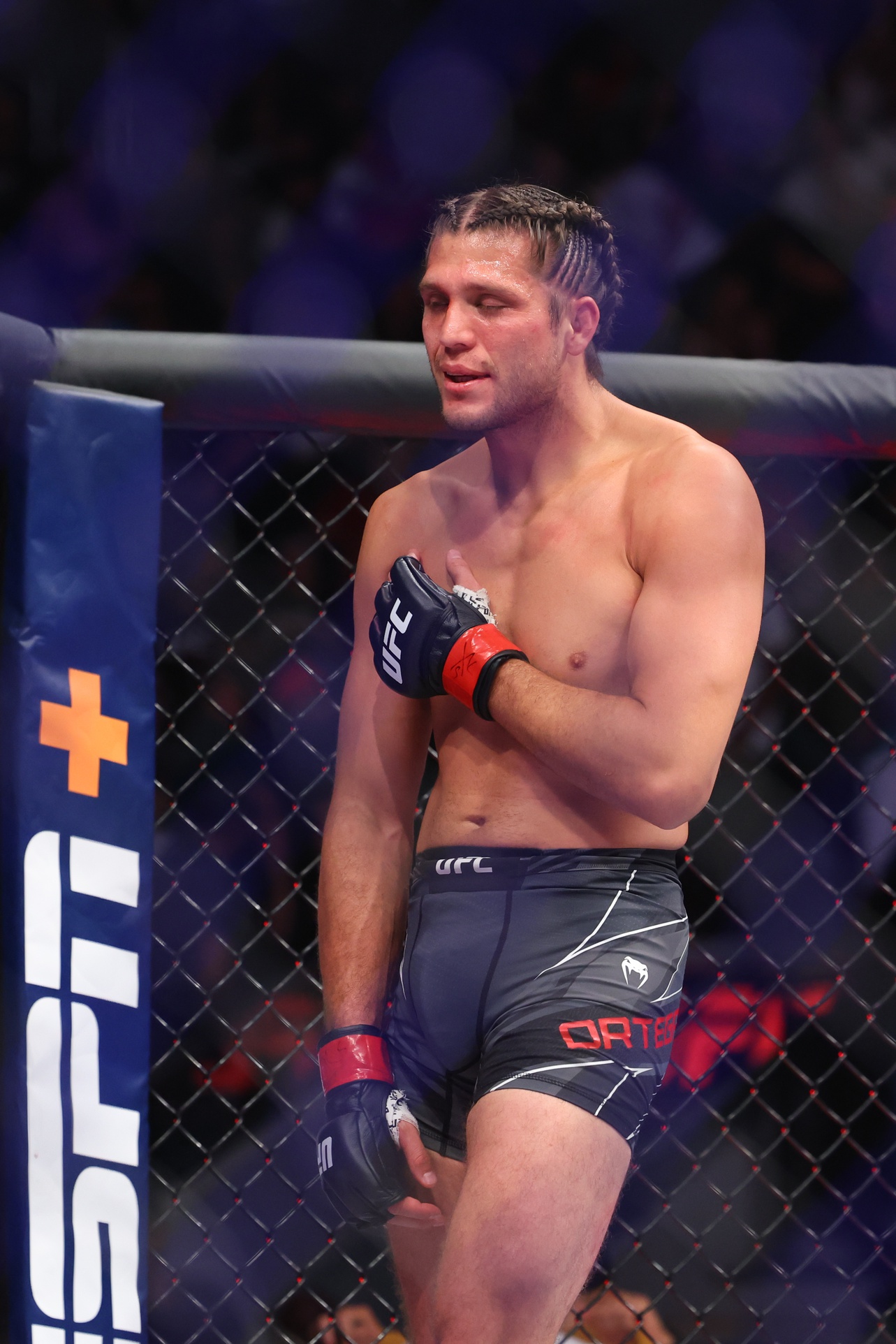 ufc picks Brian Ortega ufc predictions best bet odds