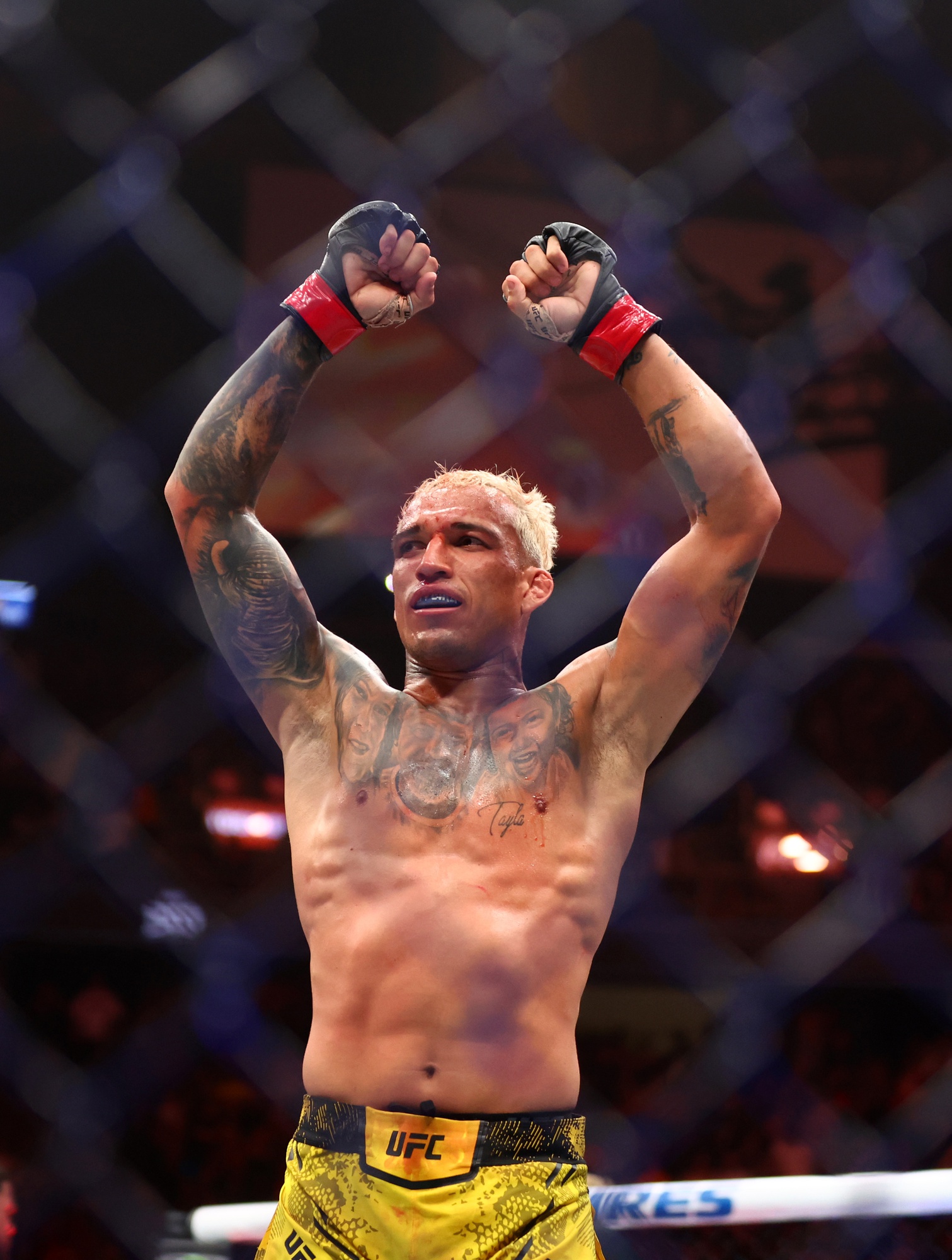 ufc picks Charles Oliveira ufc predictions best bet odds