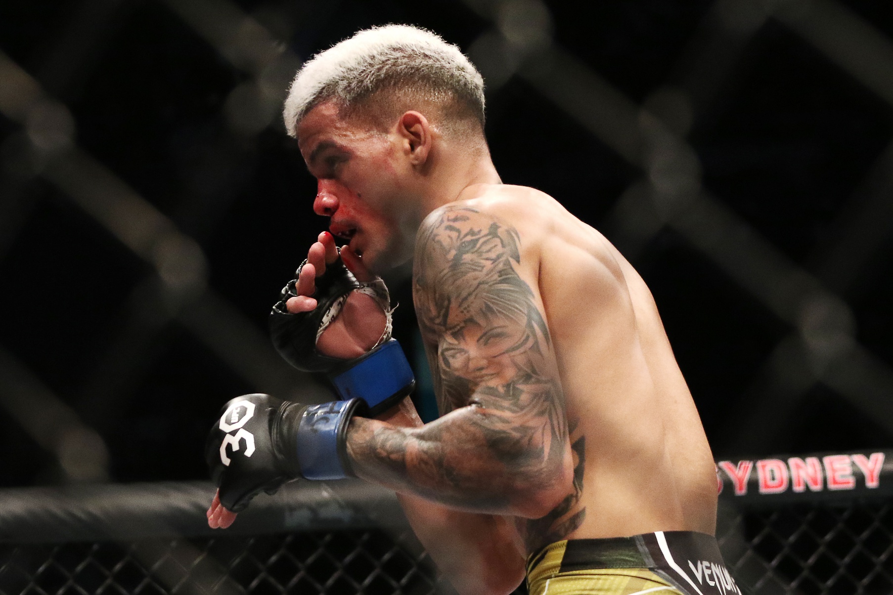 ufc picks Felipe dos Santos ufc predictions best bet odds