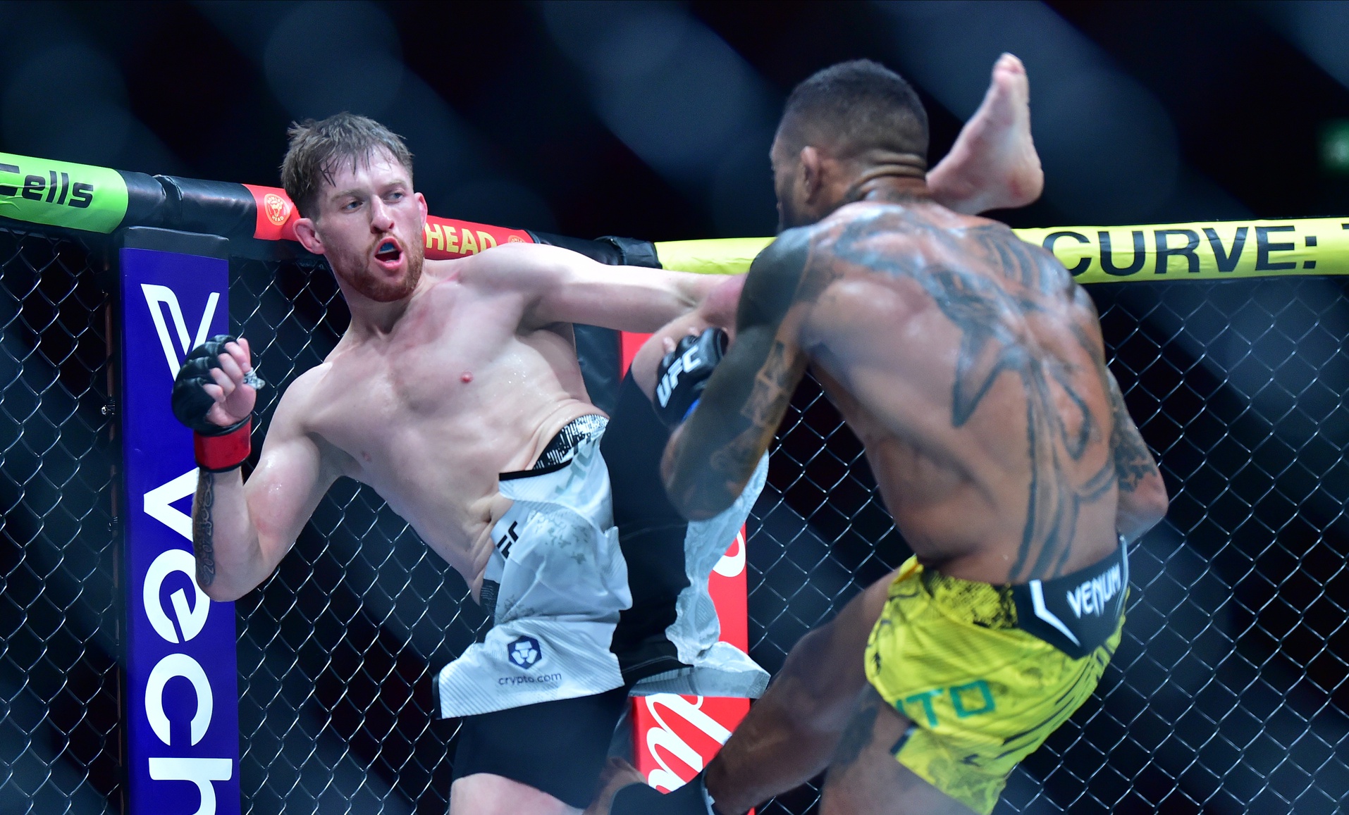 ufc picks Jack Shore ufc predictions best bet odds