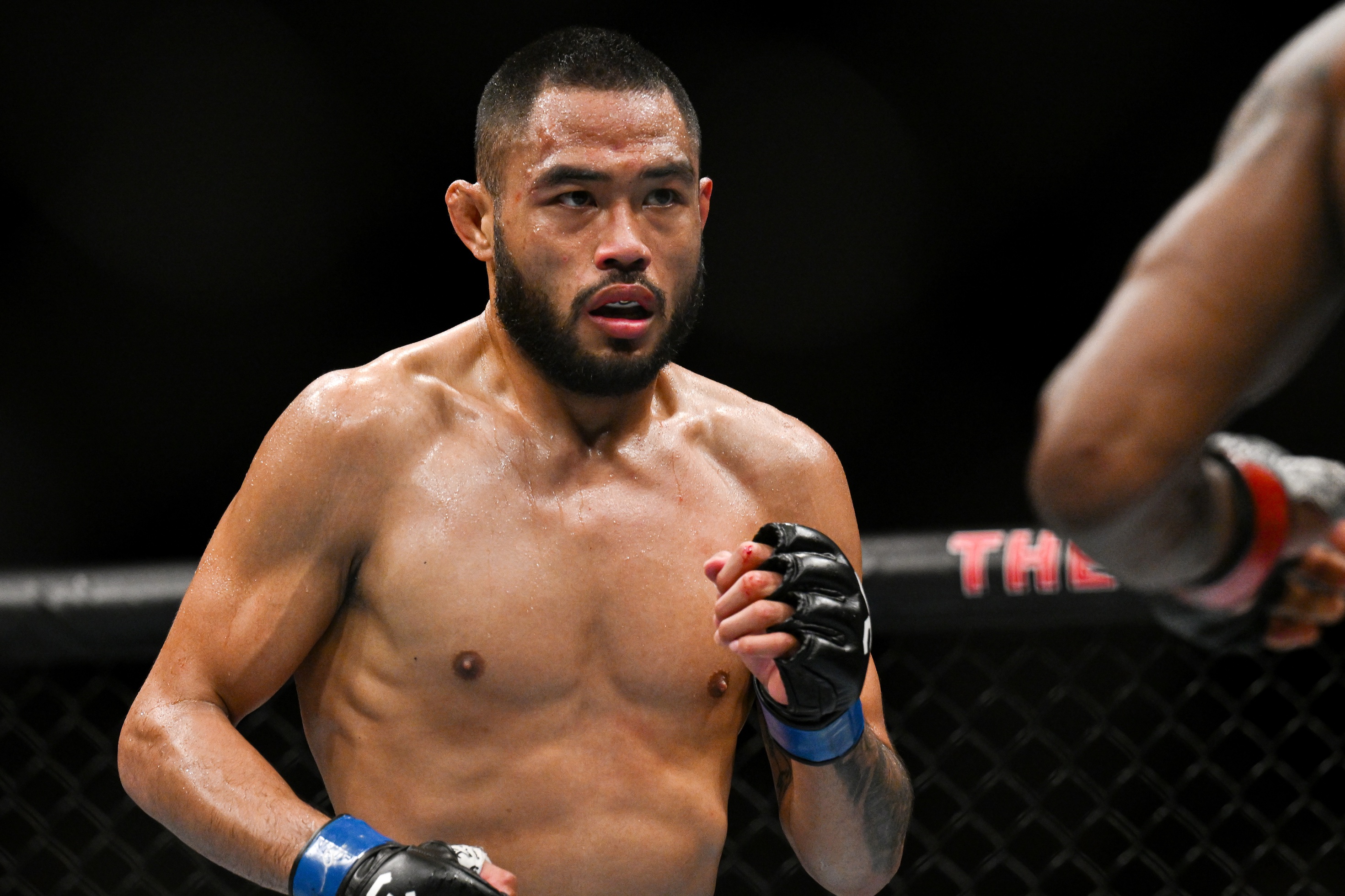 ufc picks Josh Culibao ufc predictions best bet odds