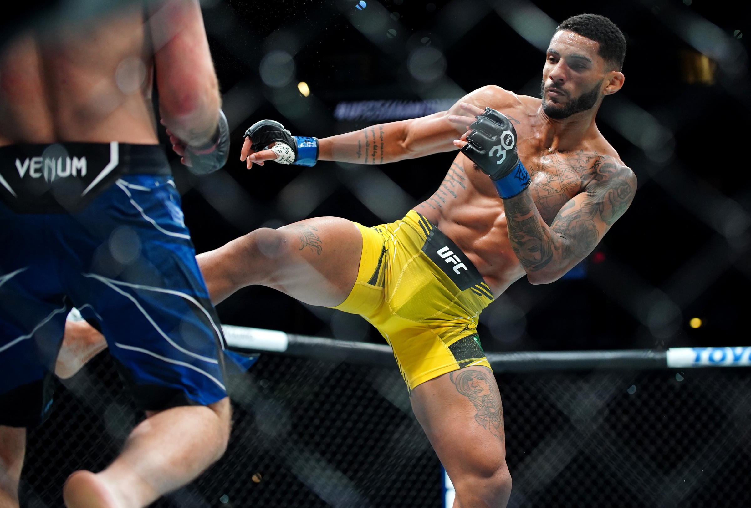 ufc picks Lucas Alexander ufc predictions best bet odds