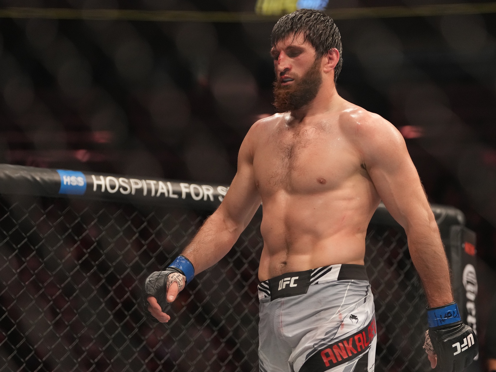 ufc picks Magomed Ankalaev ufc predictions best bet odds