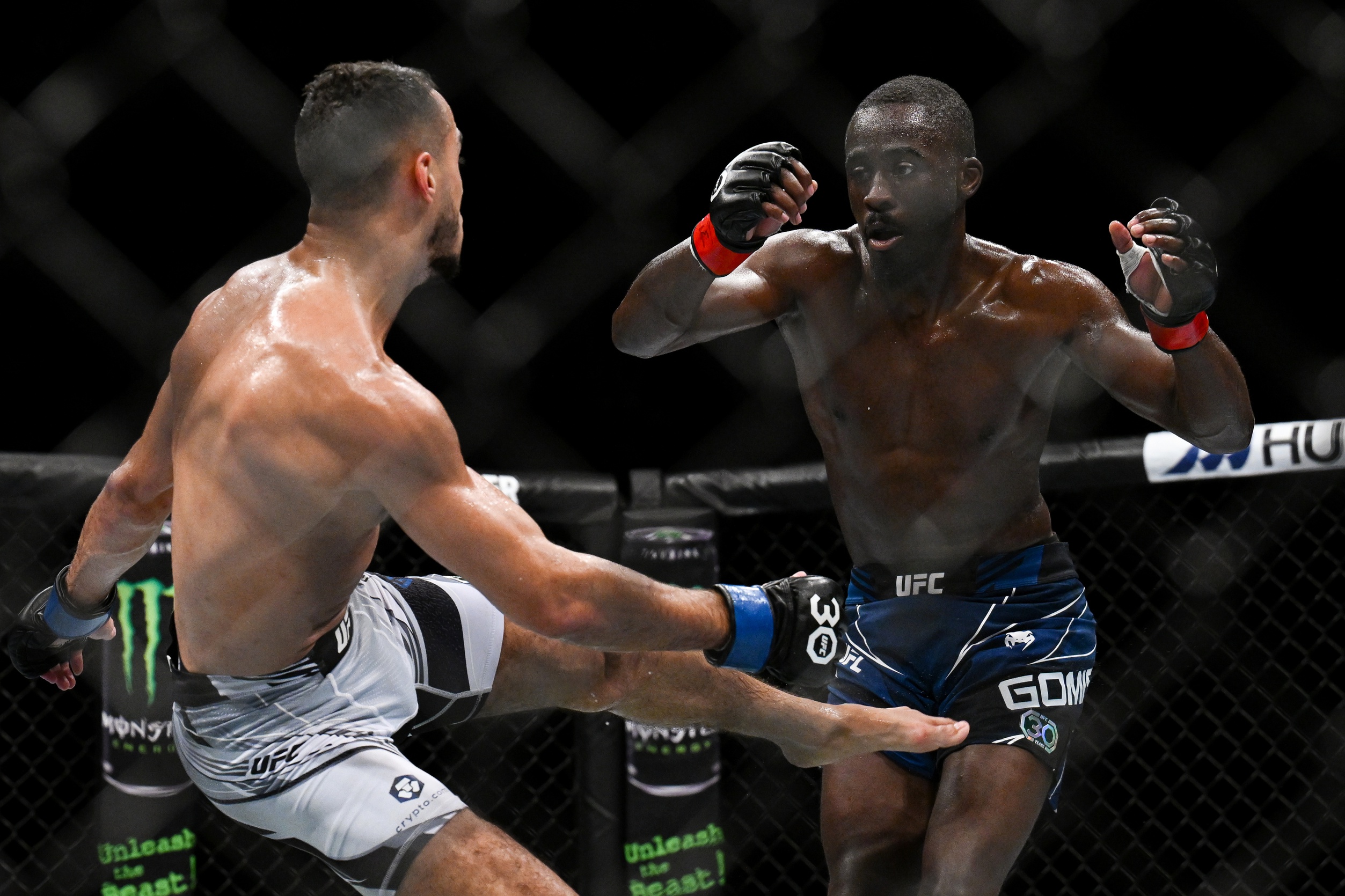 ufc picks William Gomis ufc predictions best bet odds