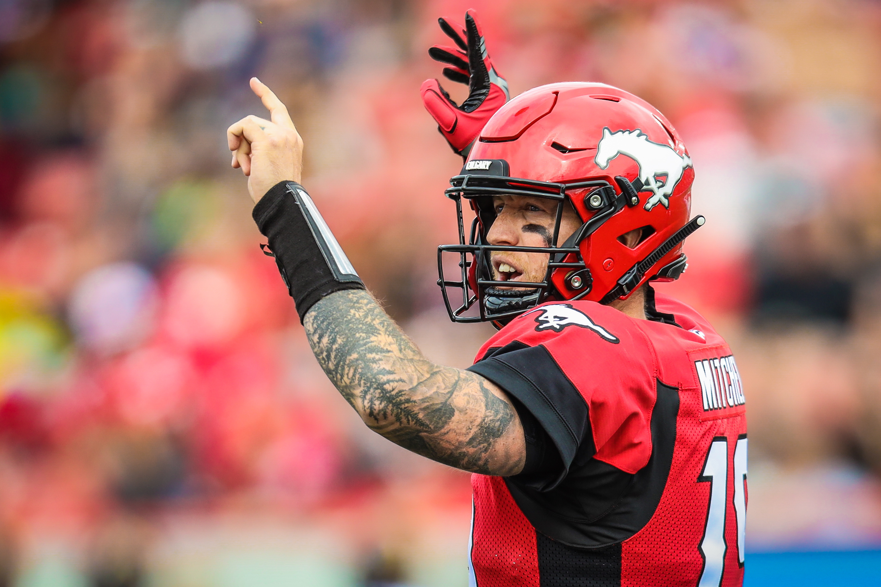 BC Lions vs Calgary Stampeders Prediction, 8/12/2021 CFL Pick, Tips and Odds