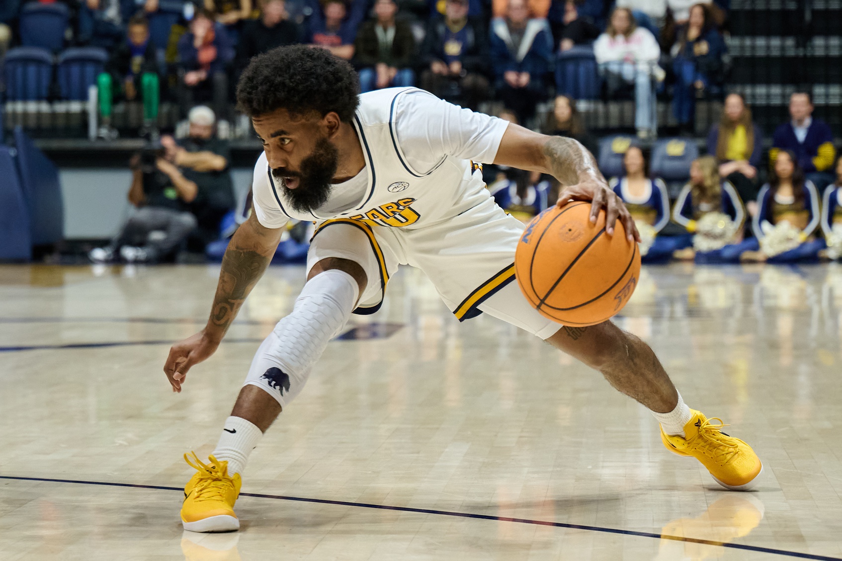 college basketball picks Jovan Blacksher California Golden Bears predictions best bet odds