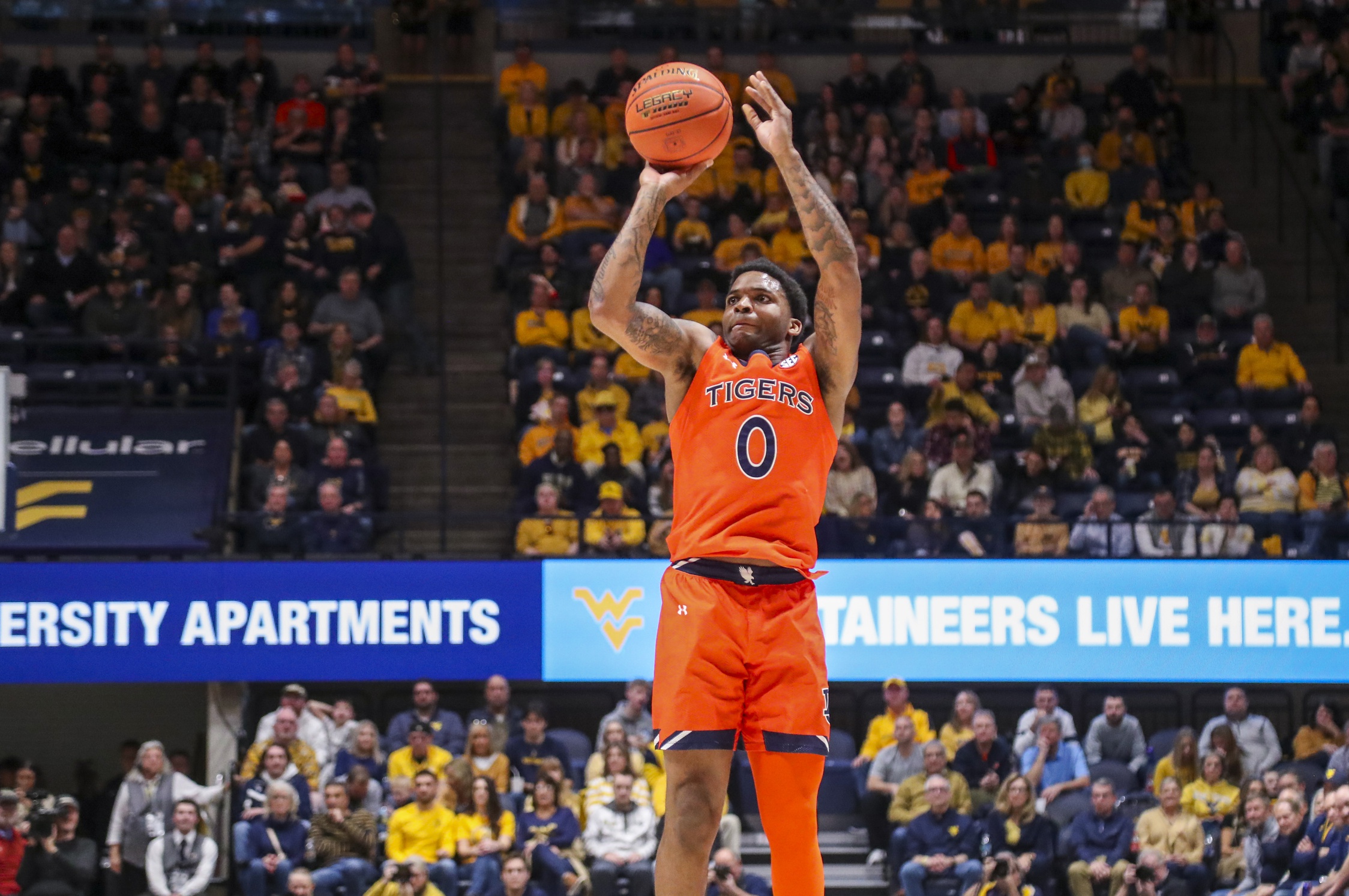 Missouri Tigers vs Auburn Tigers Prediction, 2/14/2023 College Basketball Picks, Best Bets & Odds