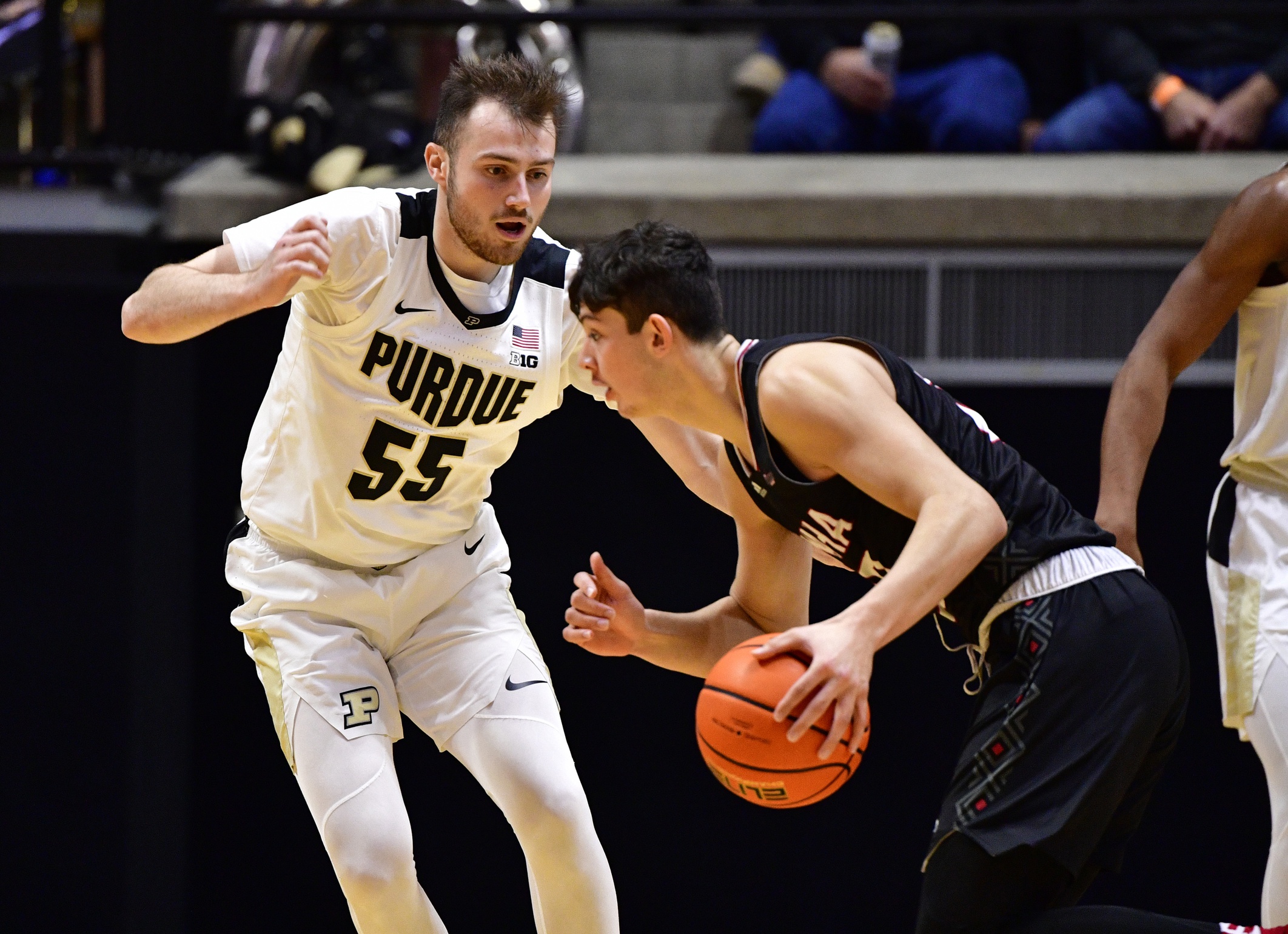 college basketball picks Sasha Stefanovic Purdue Boilermakers predictions best bet odds