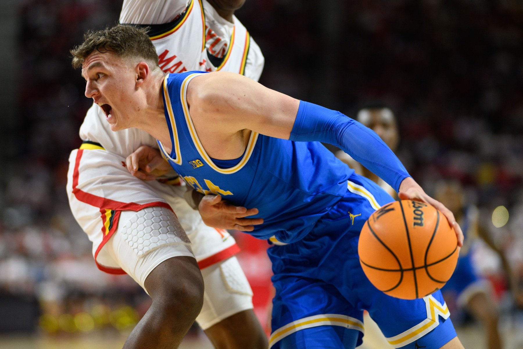 college basketball picks William Kyle UCLA Bruins predictions best bet odds