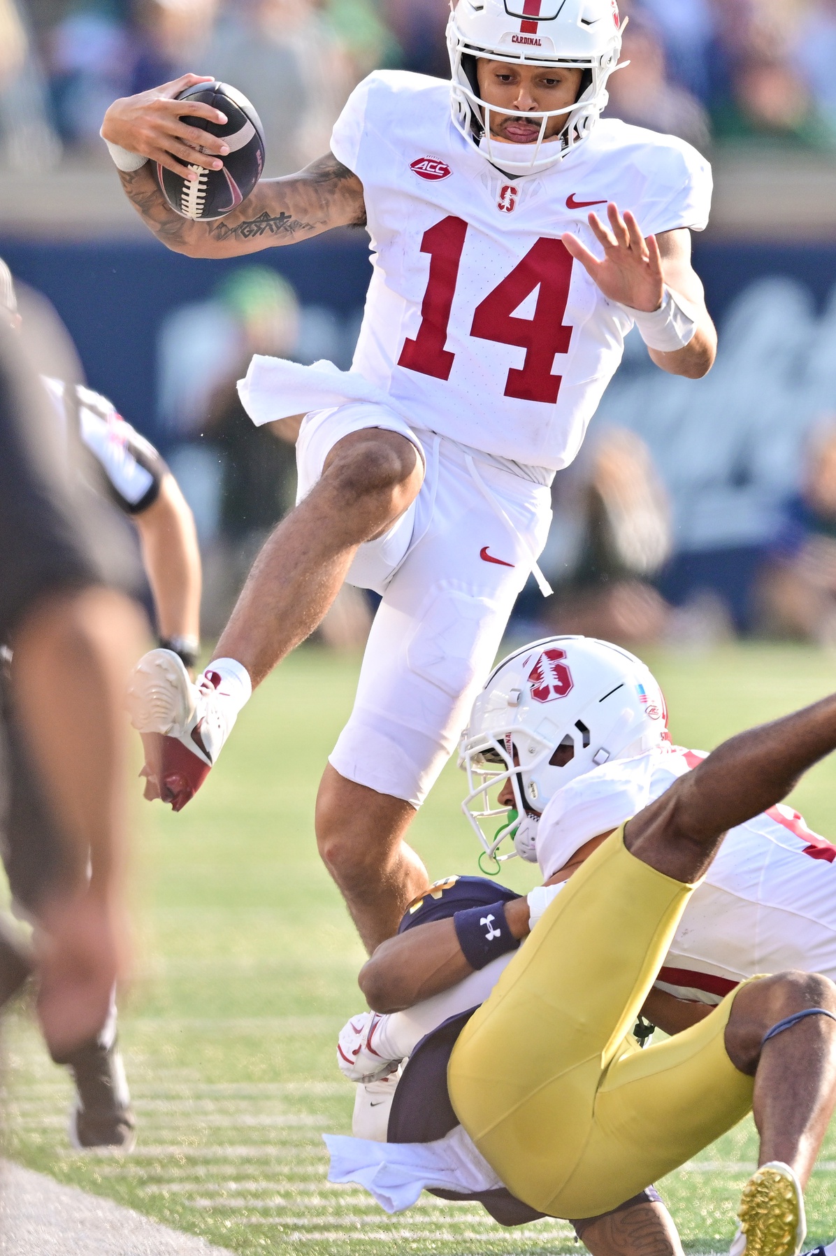 college football picks Ashton Daniels Stanford Cardinal predictions best bet odds