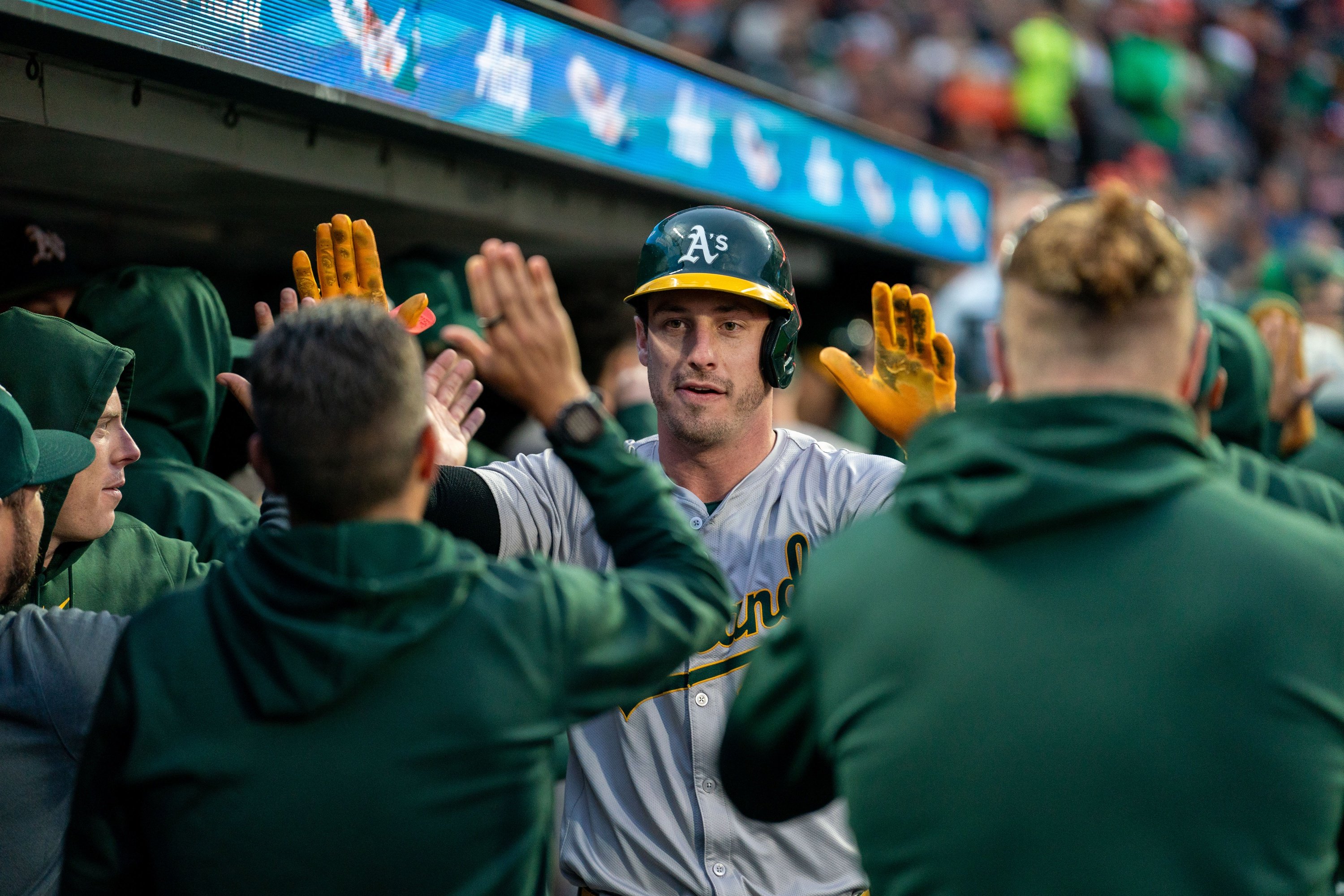 Milwaukee Brewers vs Oakland Athletics Prediction, 8/25/2024 MLB Picks, Best Bets & Odds