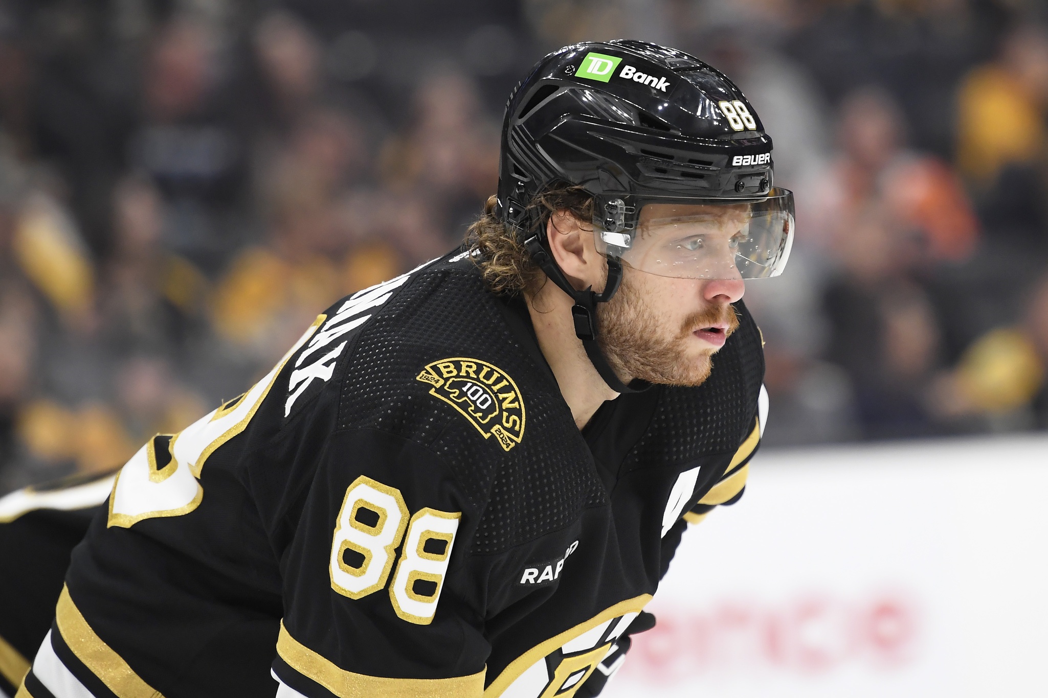 Nashville Predators vs Boston Bruins Prediction, 10/14/2023 NHL Picks, Best Bets & Odds