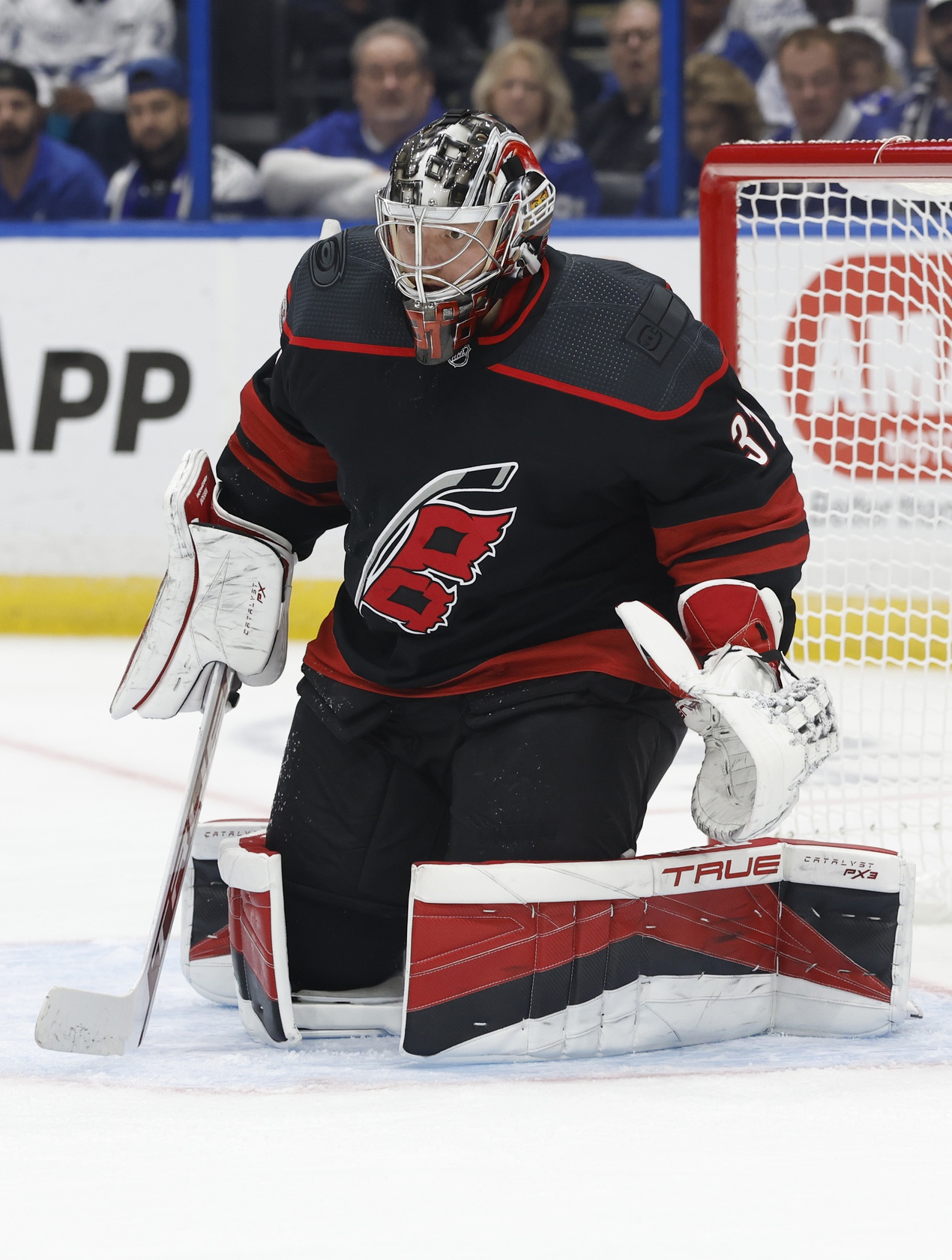 Minnesota Wild vs Carolina Hurricanes Prediction, 1/19/2023 NHL Picks, Best Bets & Odds