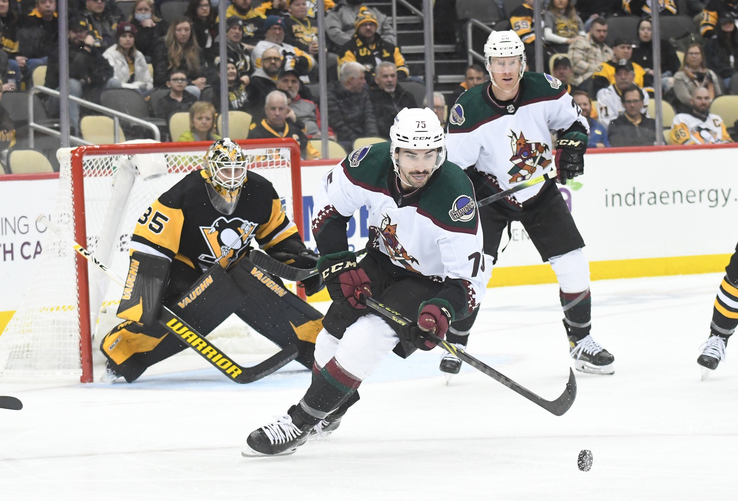 nhl picks Kyle Capobianco Arizona Coyotes predictions best bet odds