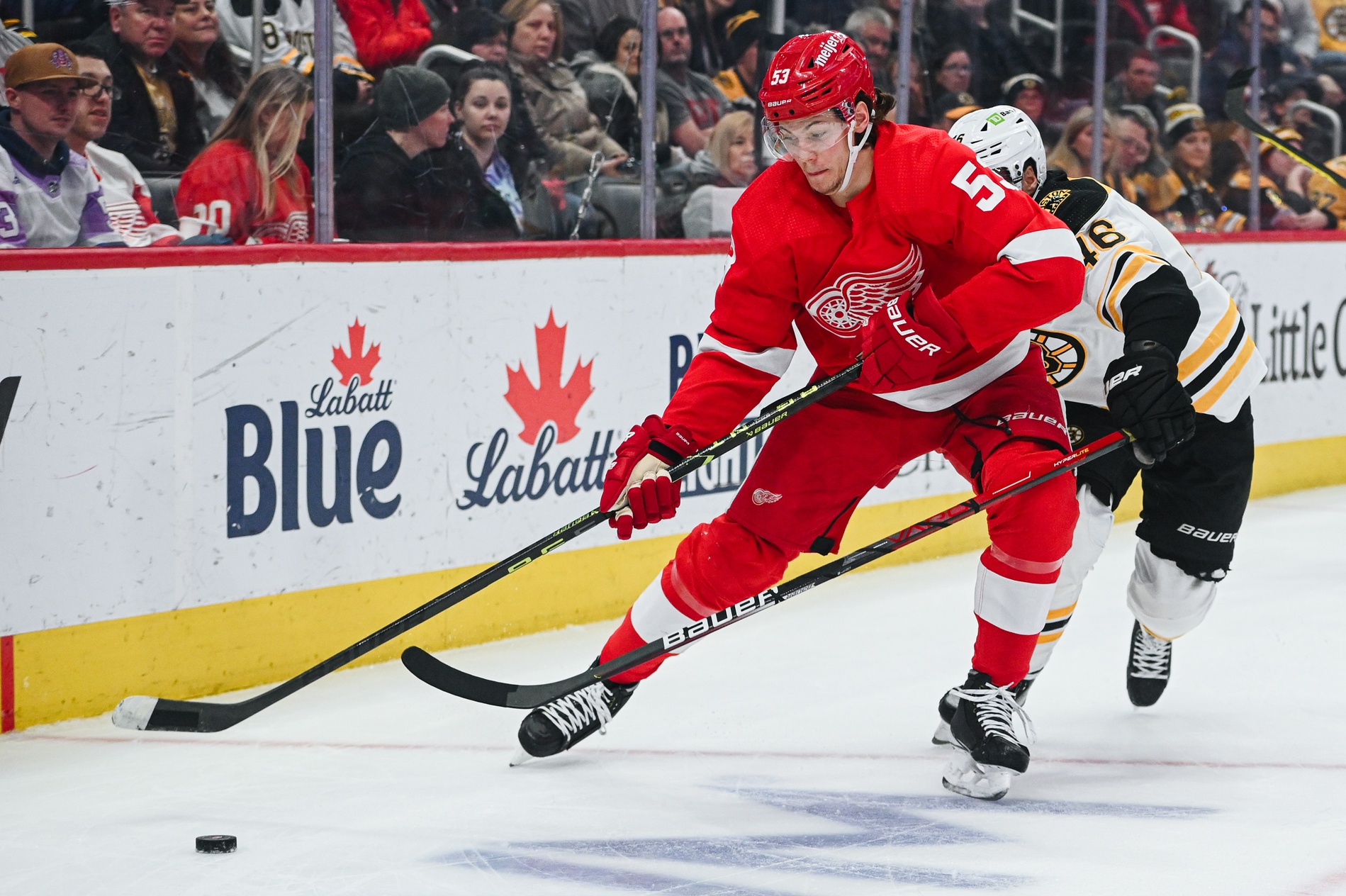 Detroit Red Wings vs Florida Panthers Prediction, 1/17/2024 NHL Picks, Best Bets & Odds