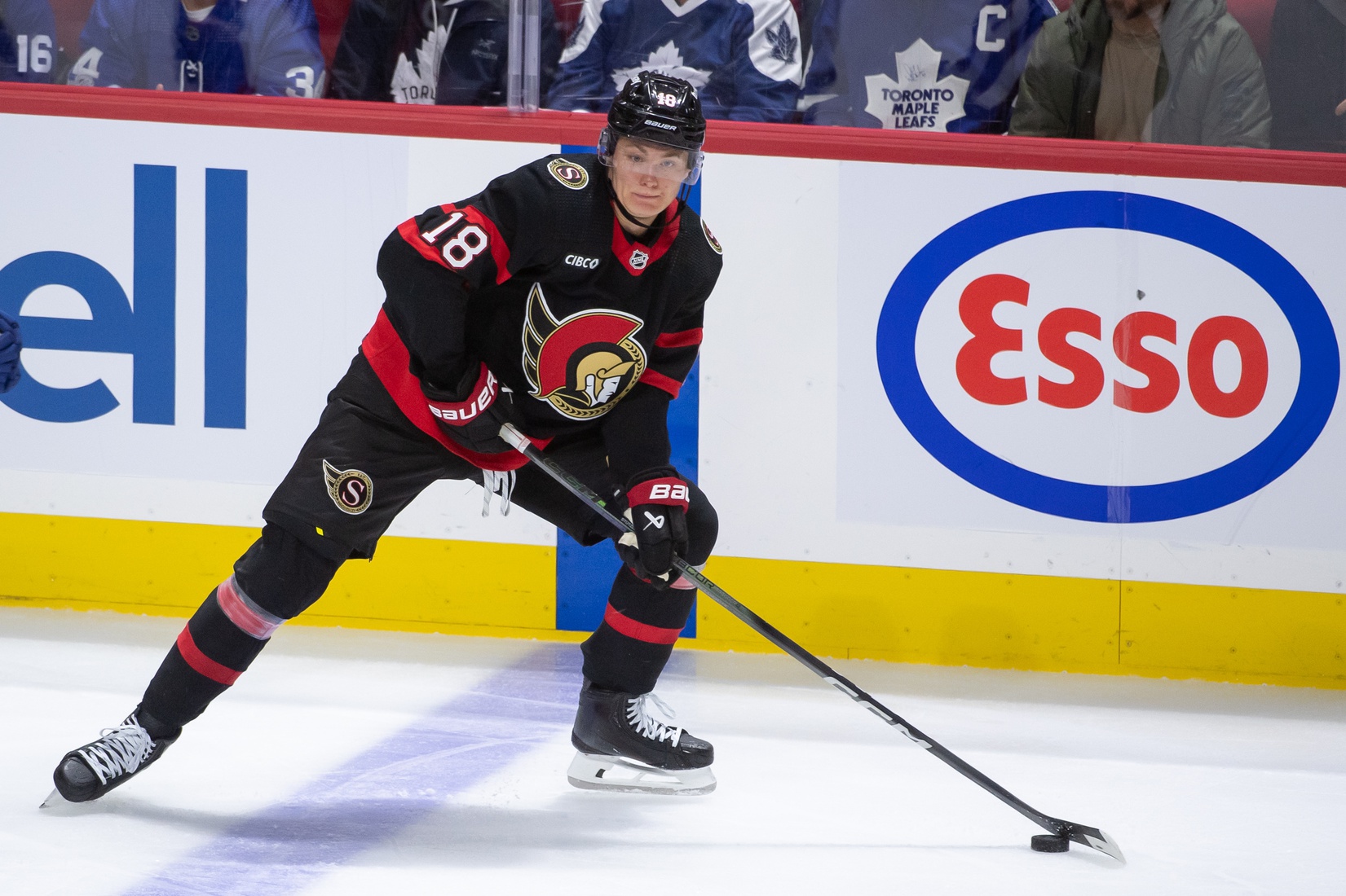 Arizona Coyotes vs Ottawa Senators Prediction, 3/1/2024 NHL Picks, Best Bets & Odds