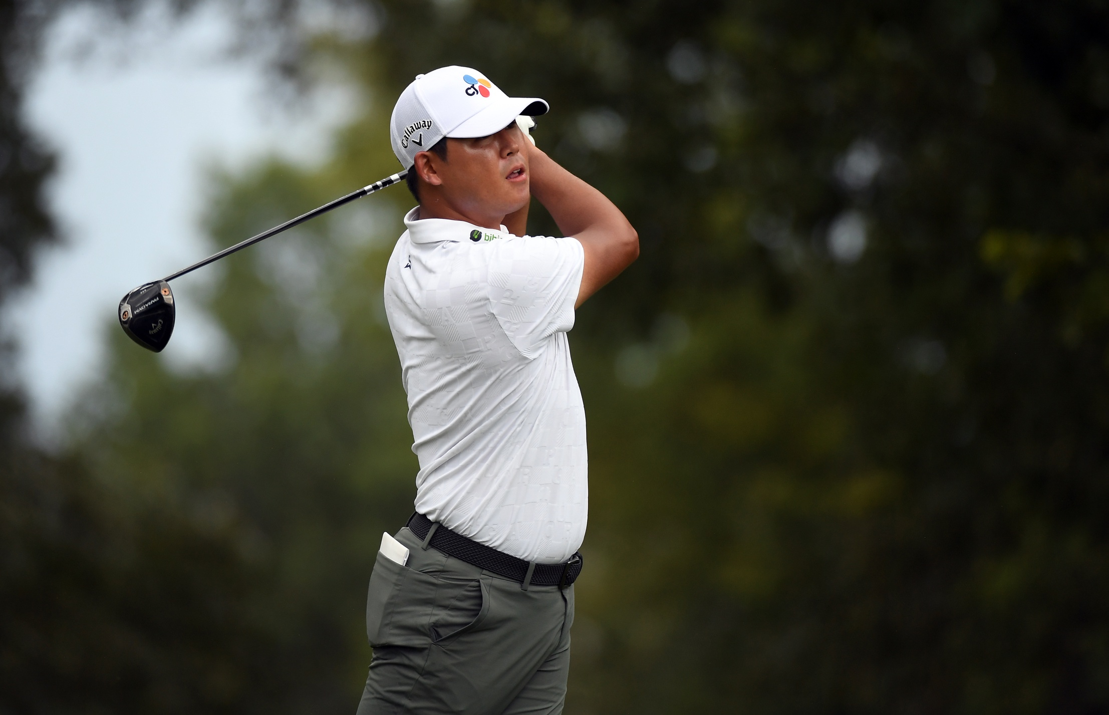 2023 PGA Picks: Tour Championship Odds and Expert Betting Predictions