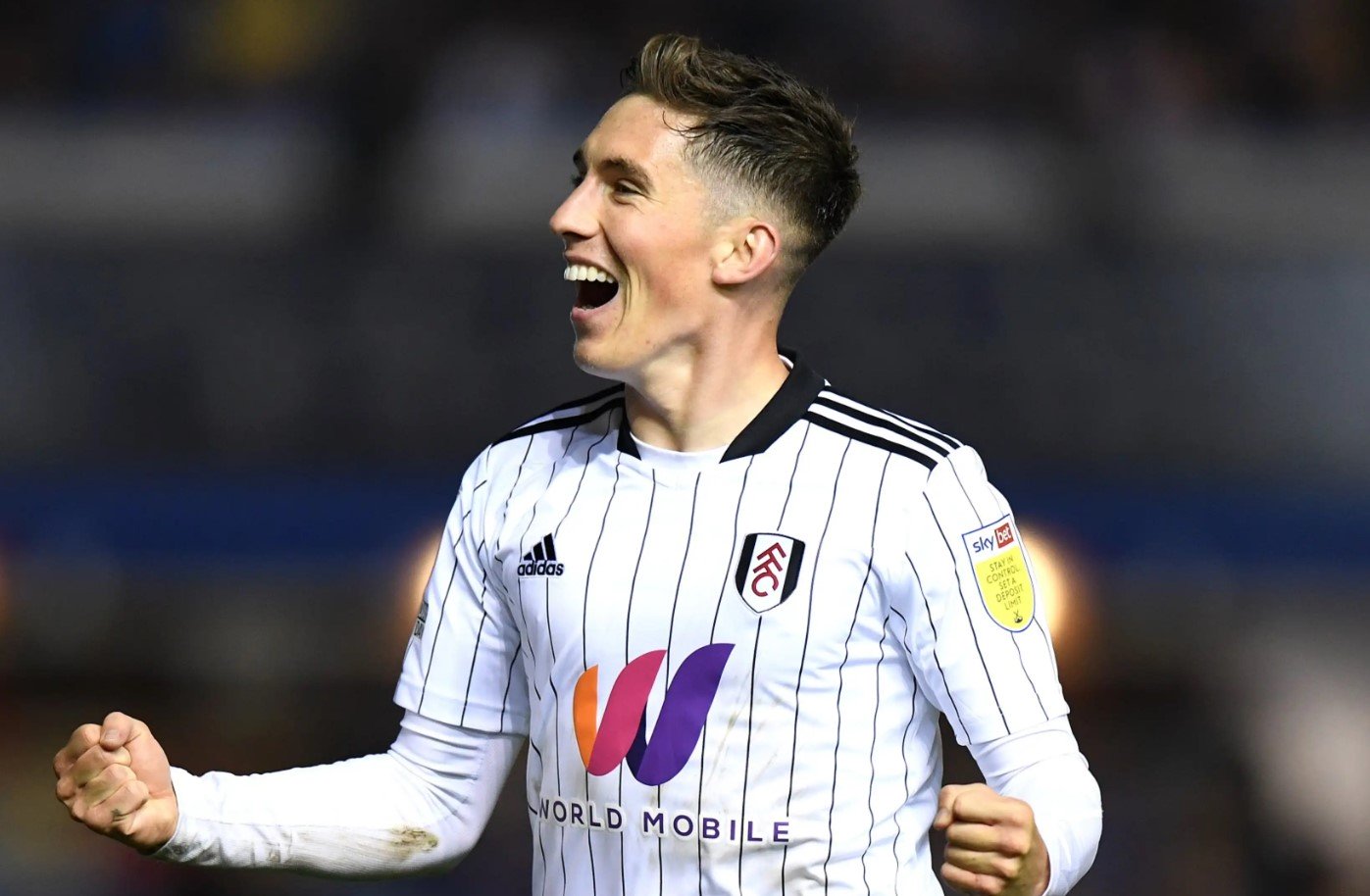 soccer picks Harry Wilson Fulham predictions best bet odds