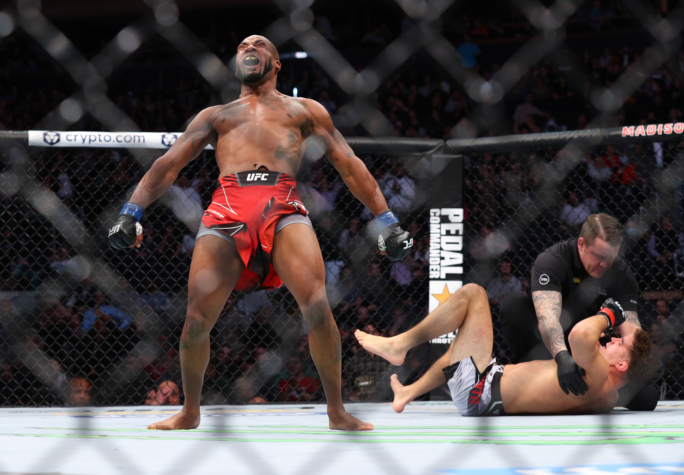 ufc picks Bobby Green predictions best bet odds