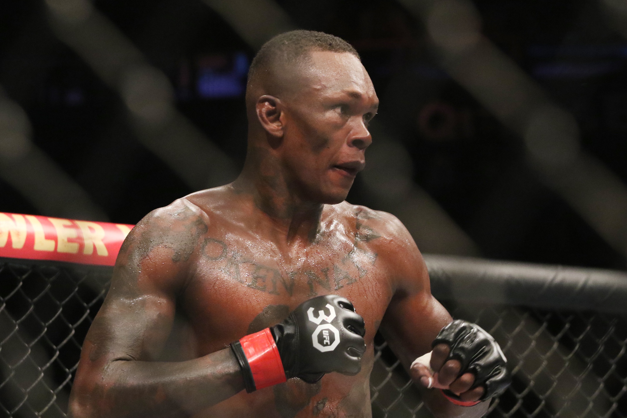 ufc picks Israel Adesanya ufc predictions best bet odds