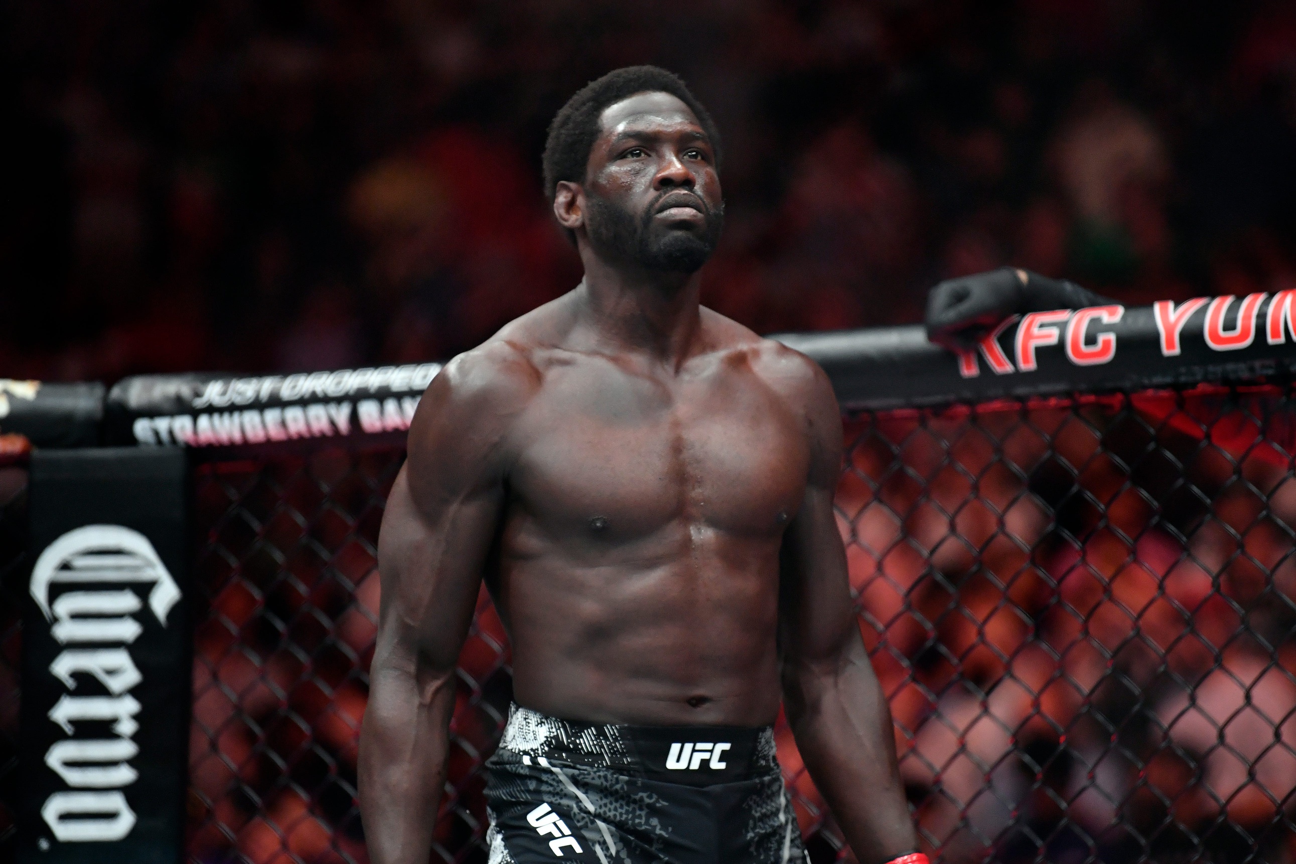 Jared Cannonier vs Caio Borralho Pick, 8/24/2024 Predictions UFC Vegas 96 Odds